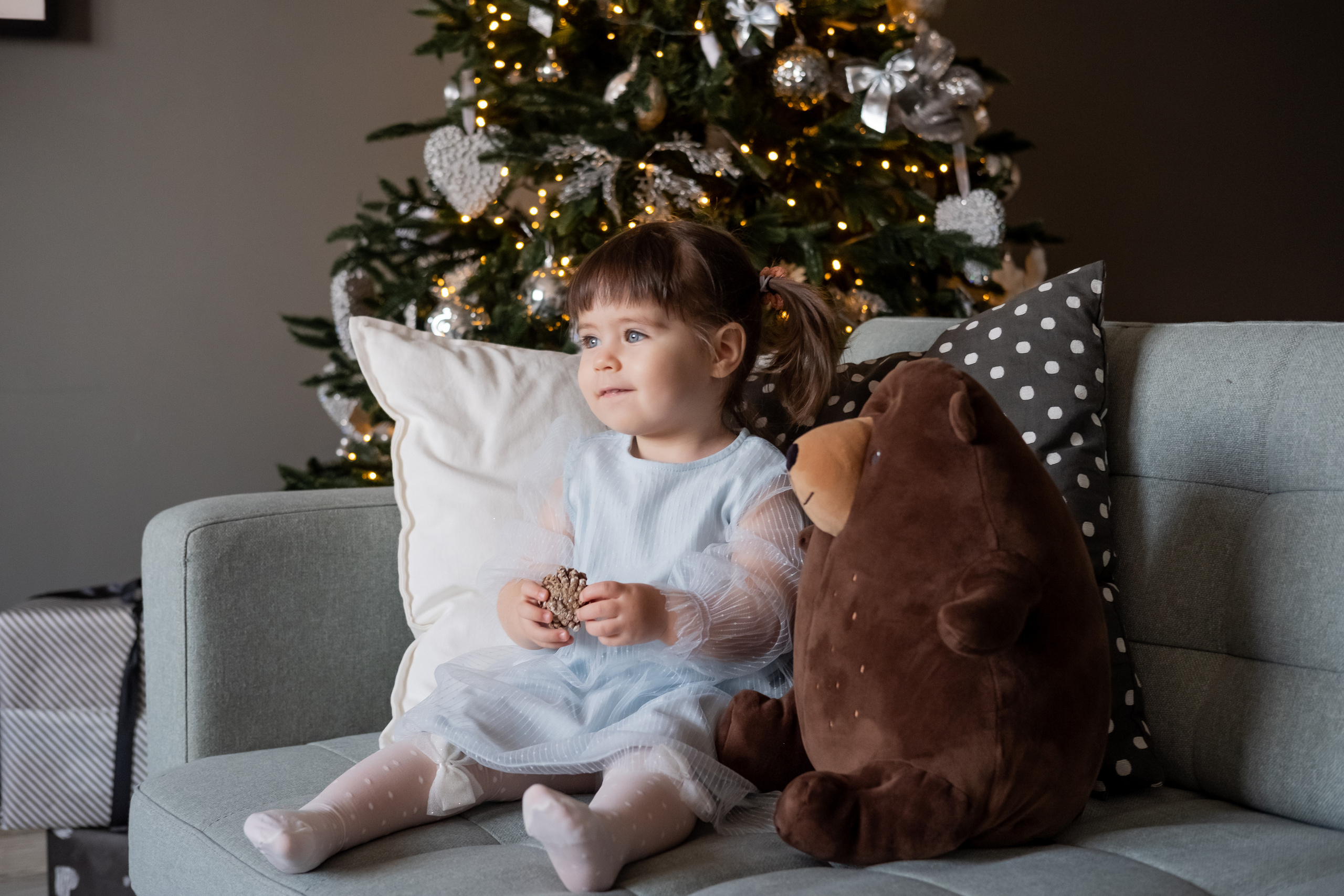 Grey. Семейный и свадебный фотограф Новосибирск