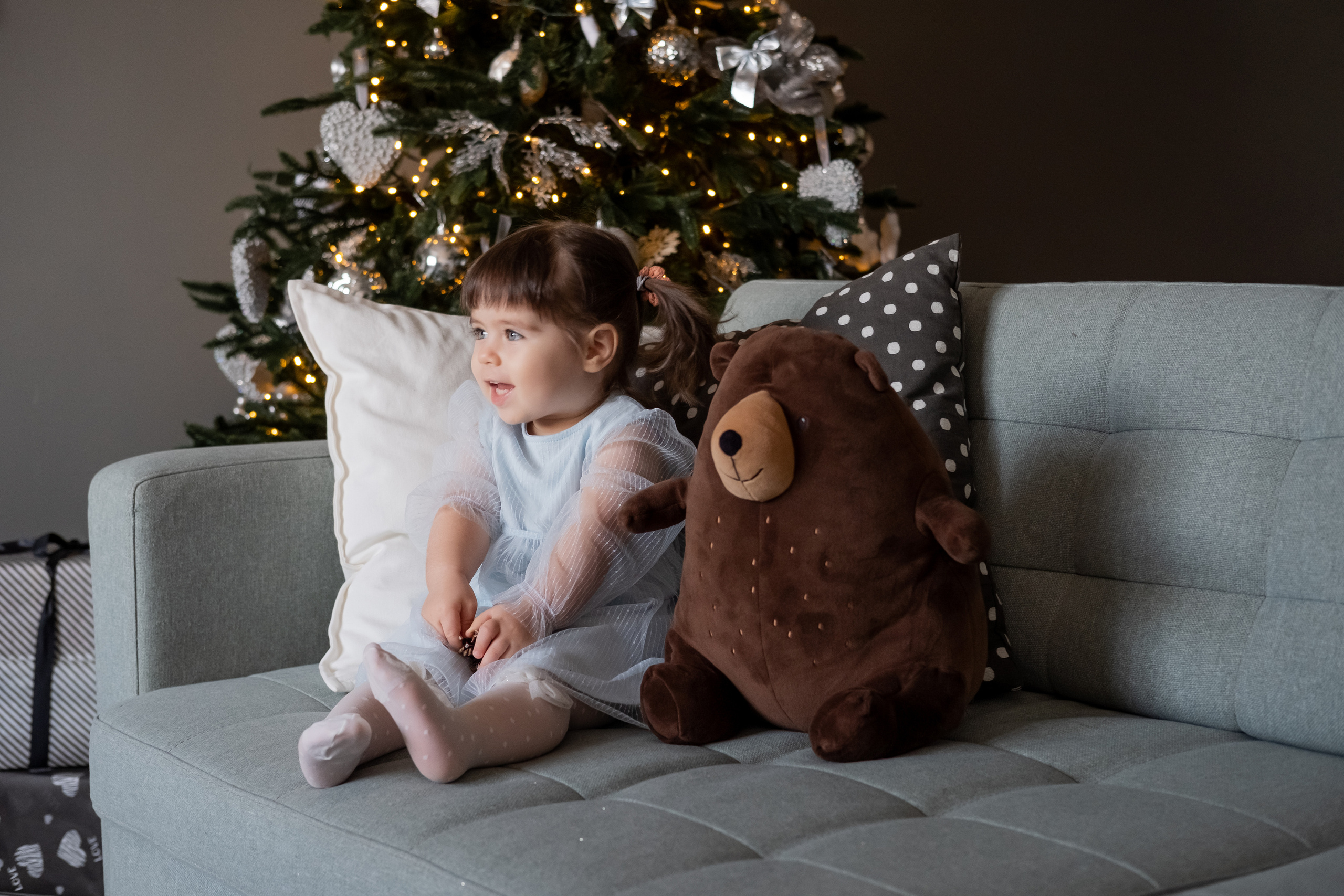 Grey. Семейный и свадебный фотограф Новосибирск