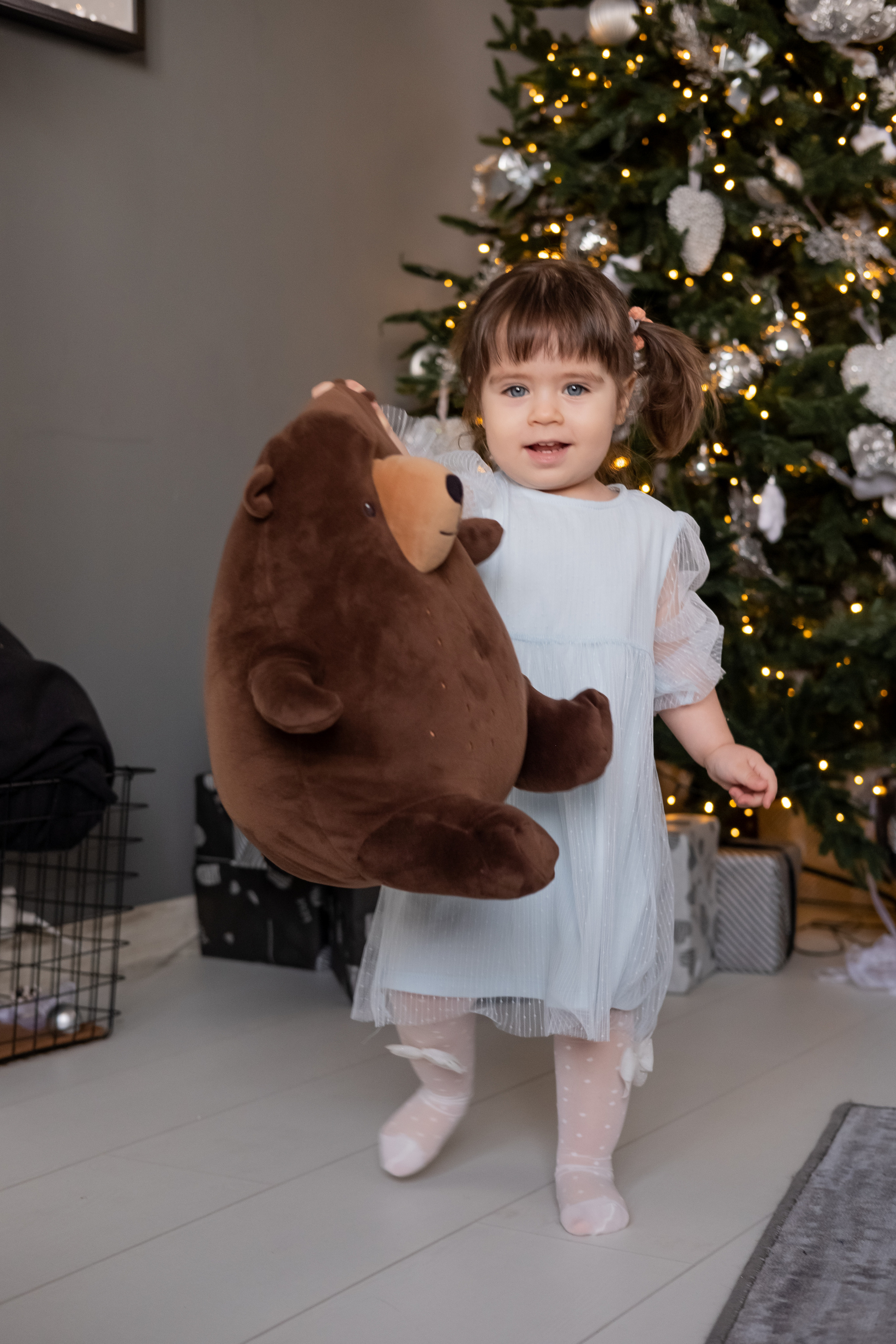 Grey. Семейный и свадебный фотограф Новосибирск