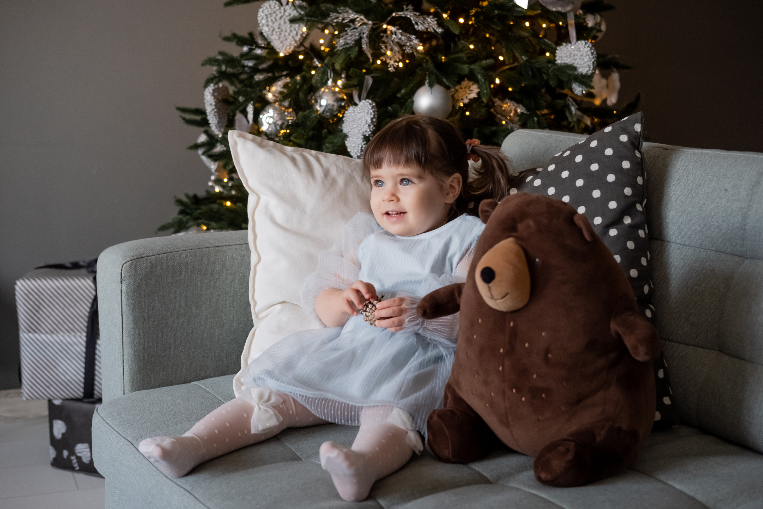 Grey. Семейный и свадебный фотограф Новосибирск