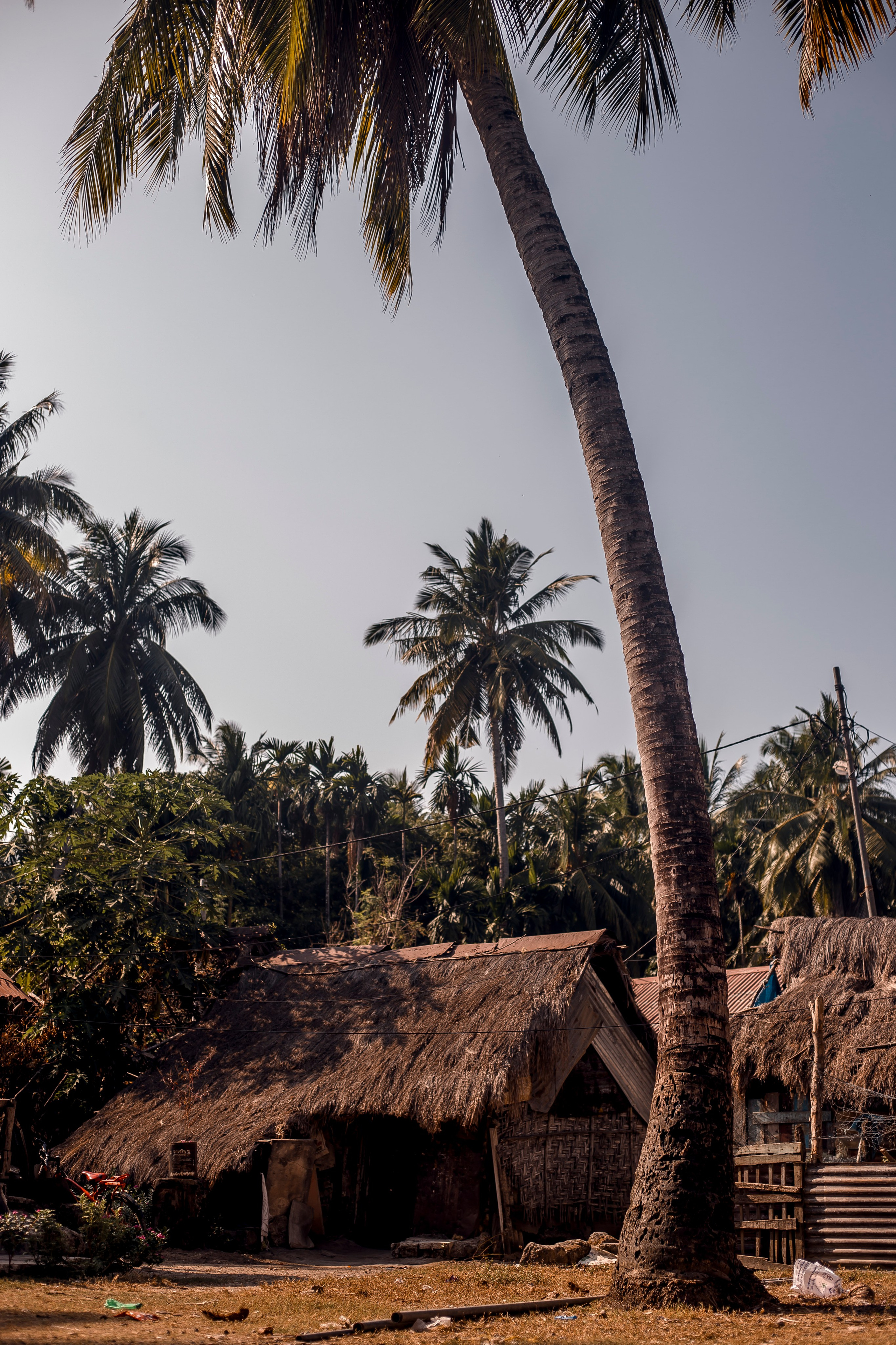 Andaman Islands, Part2. Art Photographer