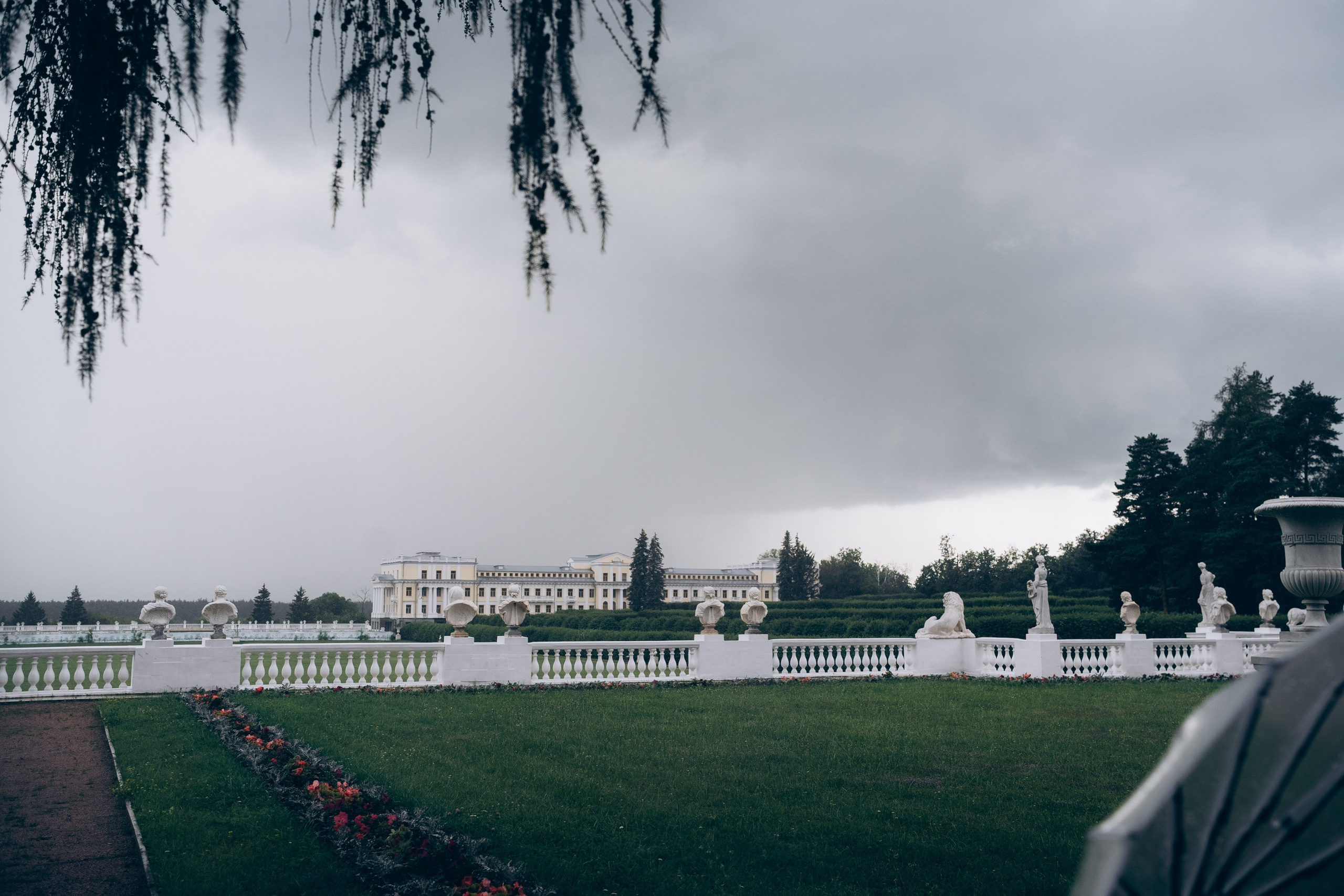 Маргарита и Артур. Фотограф анималист в Москве и Санкт-Петербурге Свиридова Анна