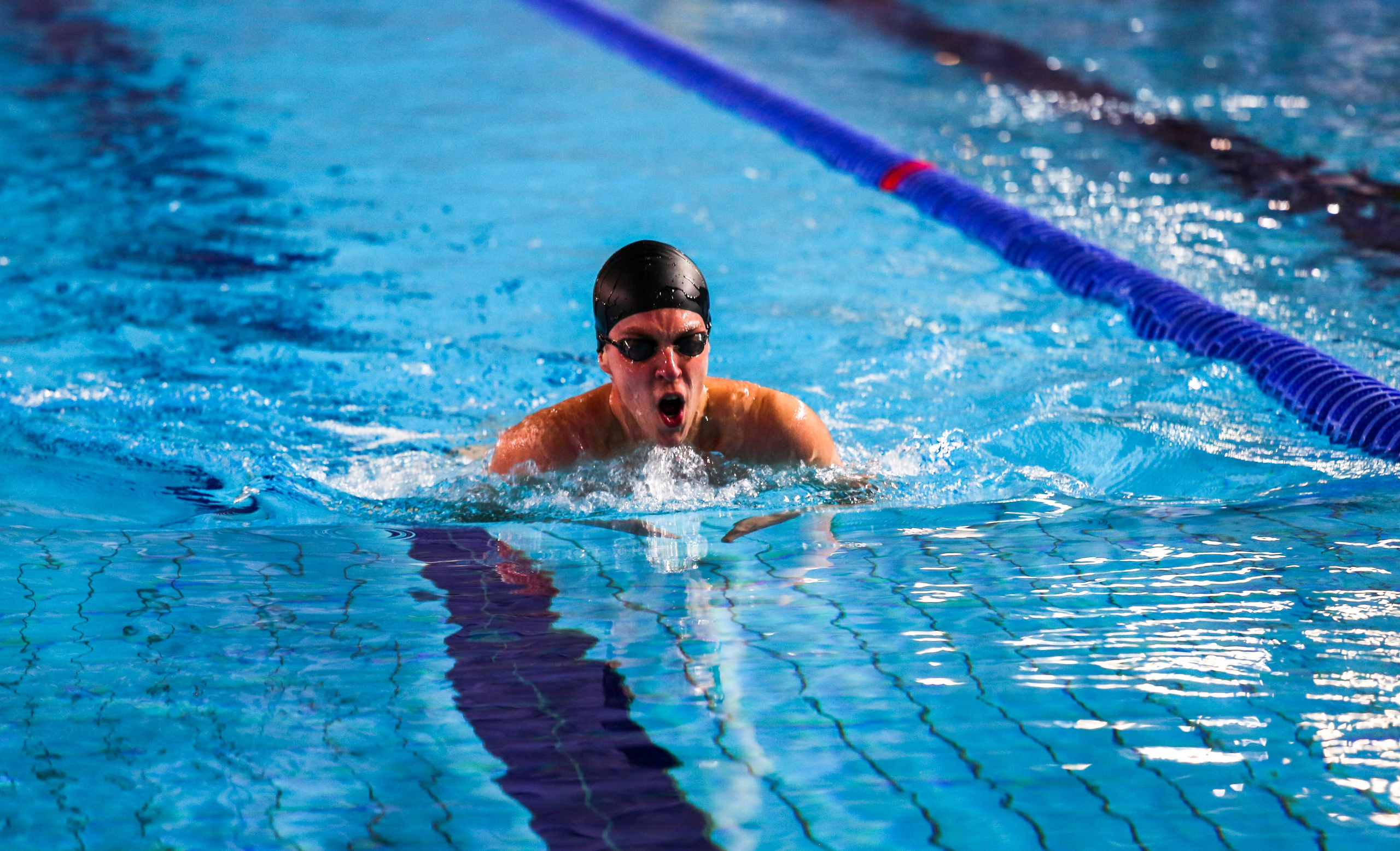 Соревнования по плаванию. Репортажный, семейный, свадебный, портретный фотограф