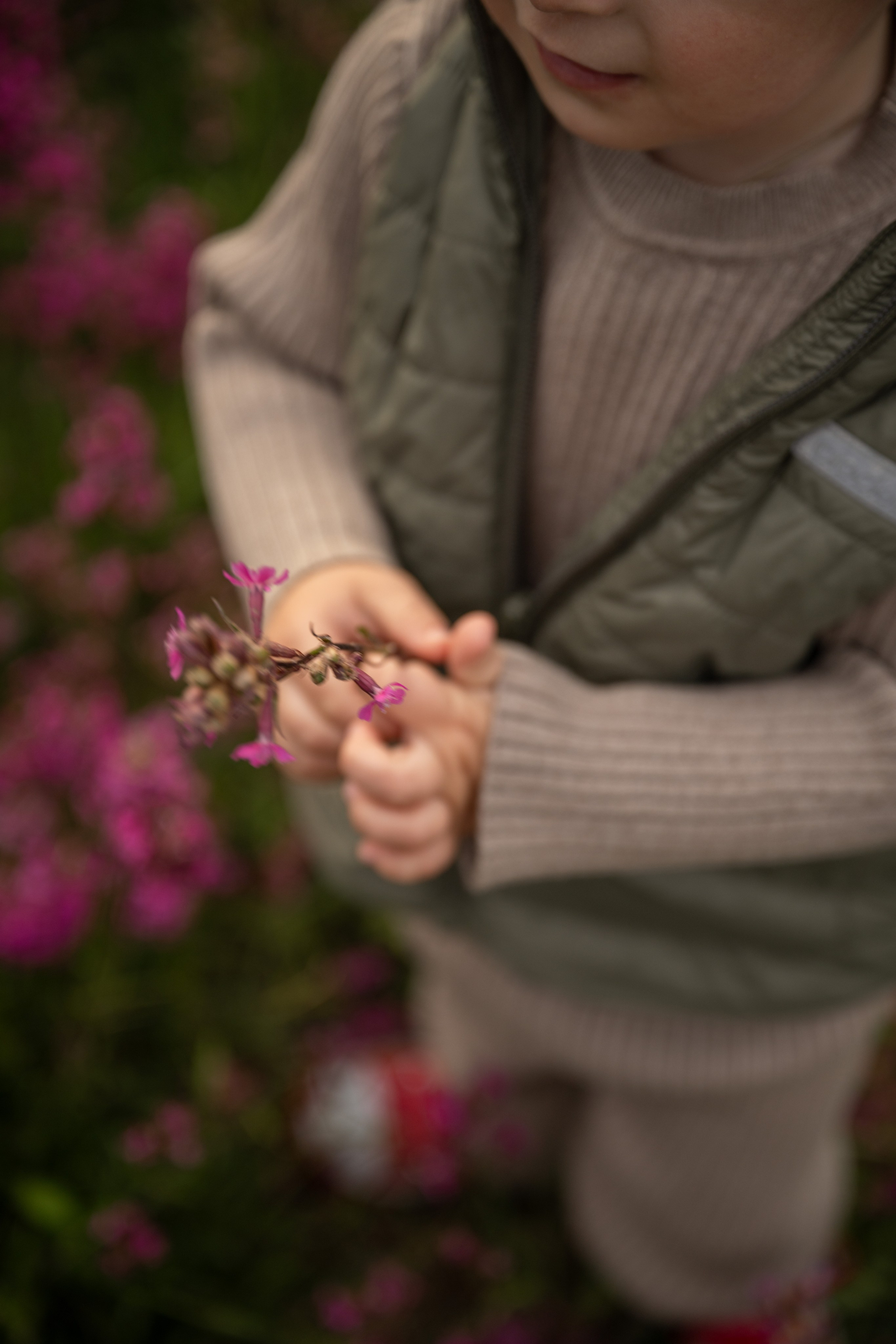 Прогулка на Колтушских высотах. Детский и семейный фотограф в Санкт-Петербурге и Ярославле Павлова Гал