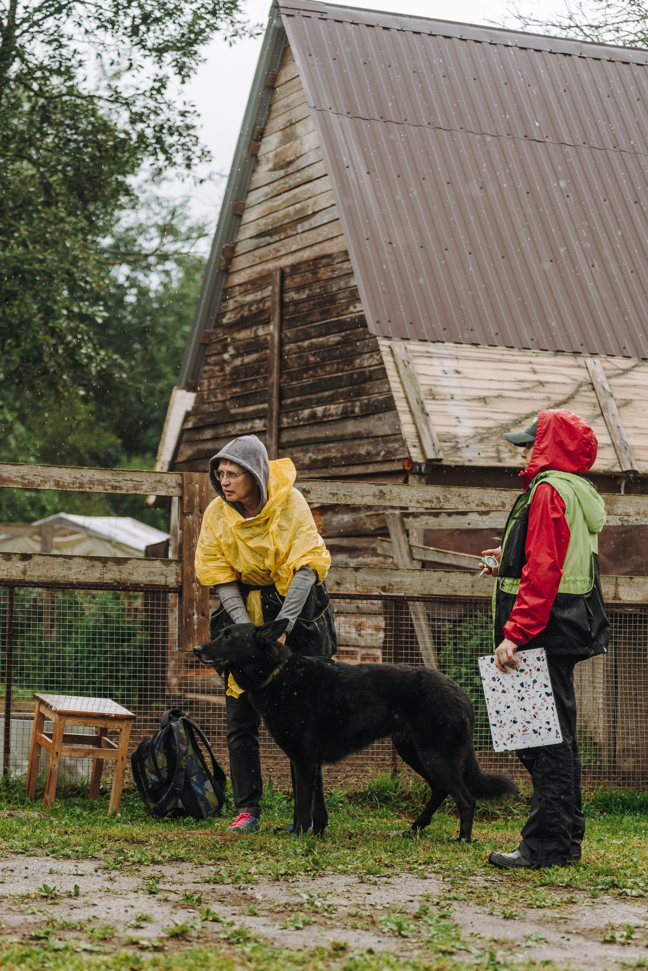Соревнования по ноузворку в Новожилово. Фотограф анималист в Спб недорого Олеся Майорова