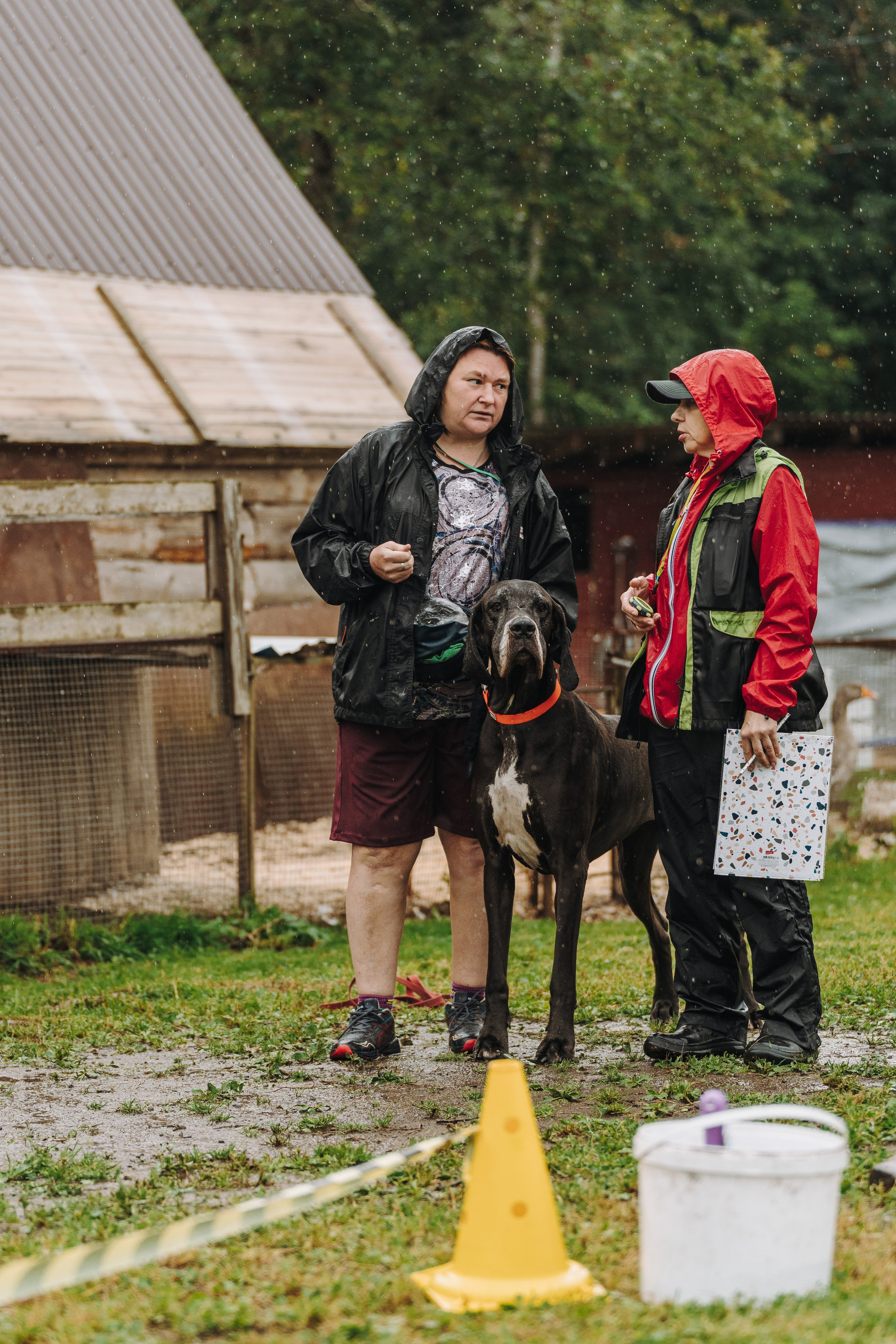 Соревнования по ноузворку в Новожилово. Фотограф анималист в Спб недорого Олеся Майорова