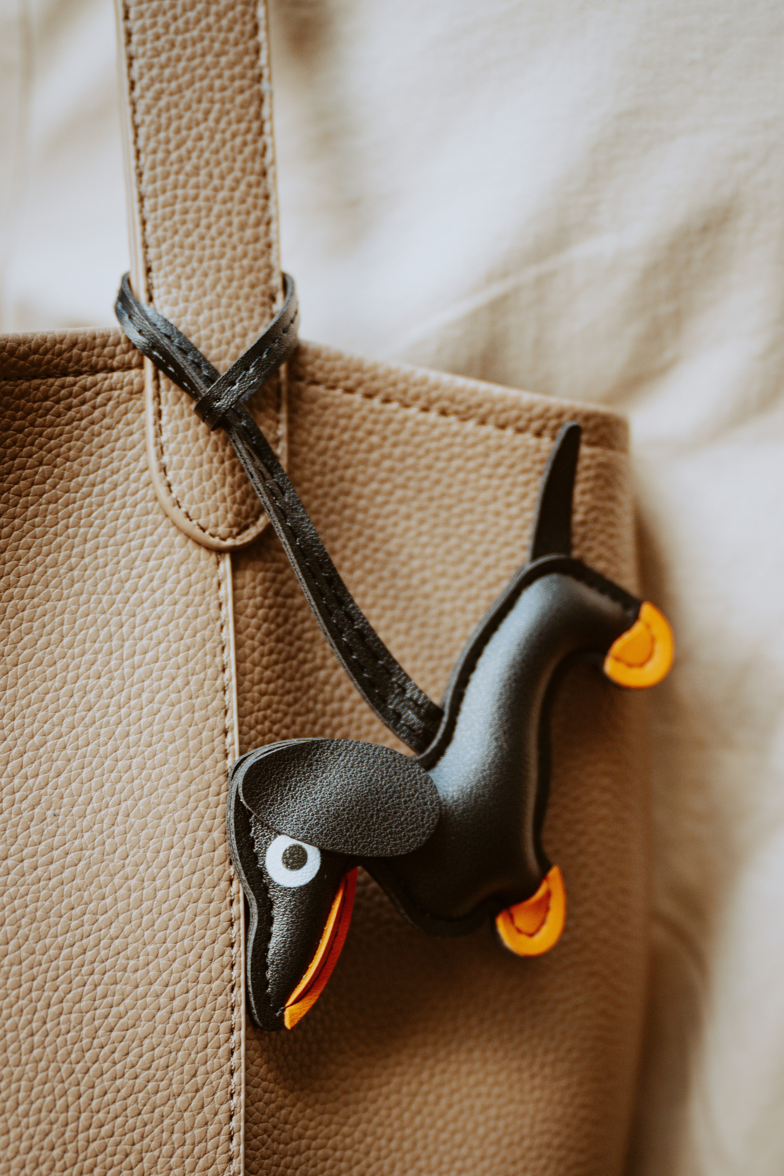 Такспарад. Фотограф анималист в Спб недорого Олеся Майорова