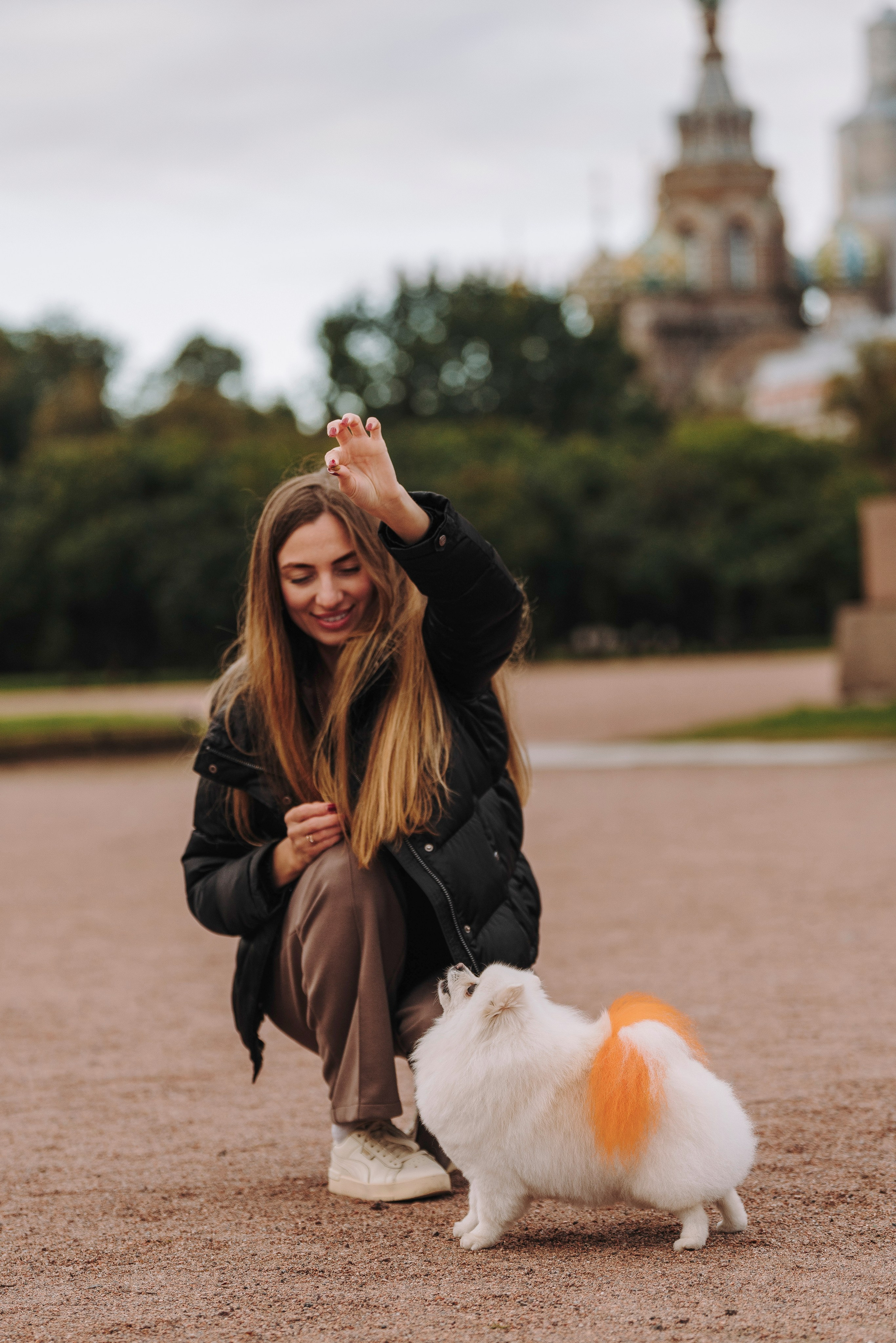 Фотосессия с померанским шпицем. Фотограф анималист в Спб недорого Олеся Майорова