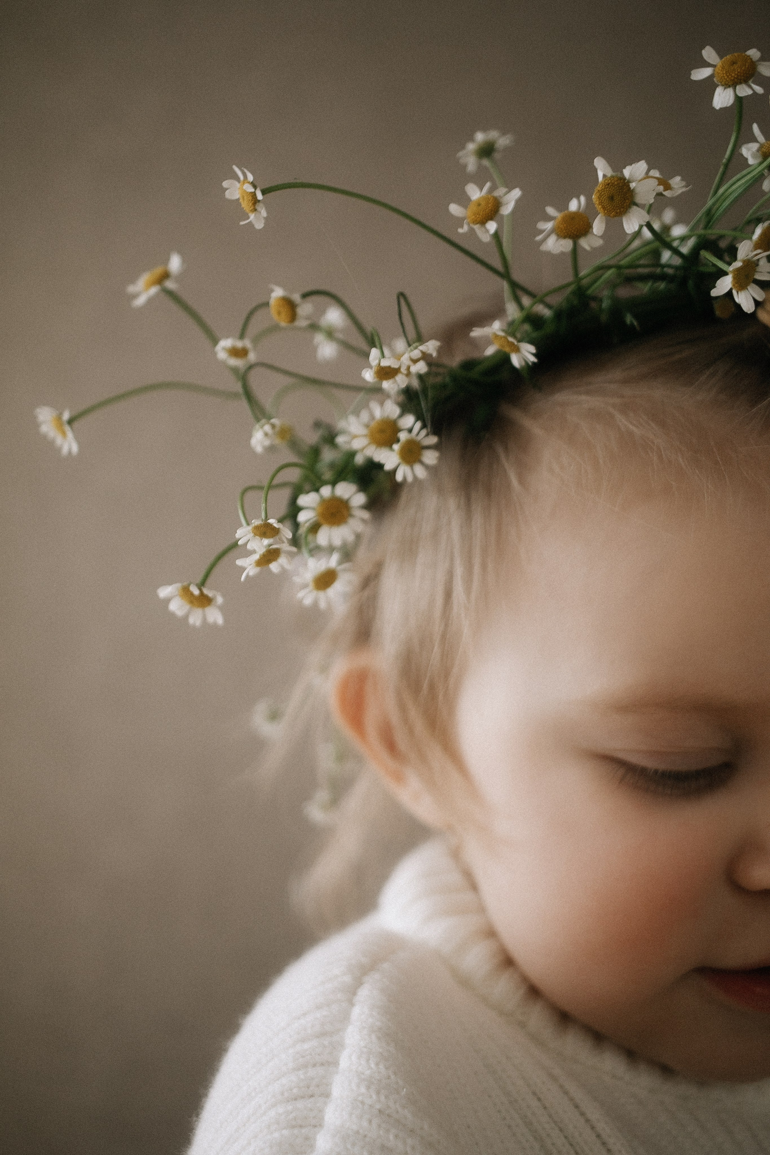 Маленькая София в цветах и лучах декабрьского солнышка. Фотограф в Крыму | Виктория Нотевская