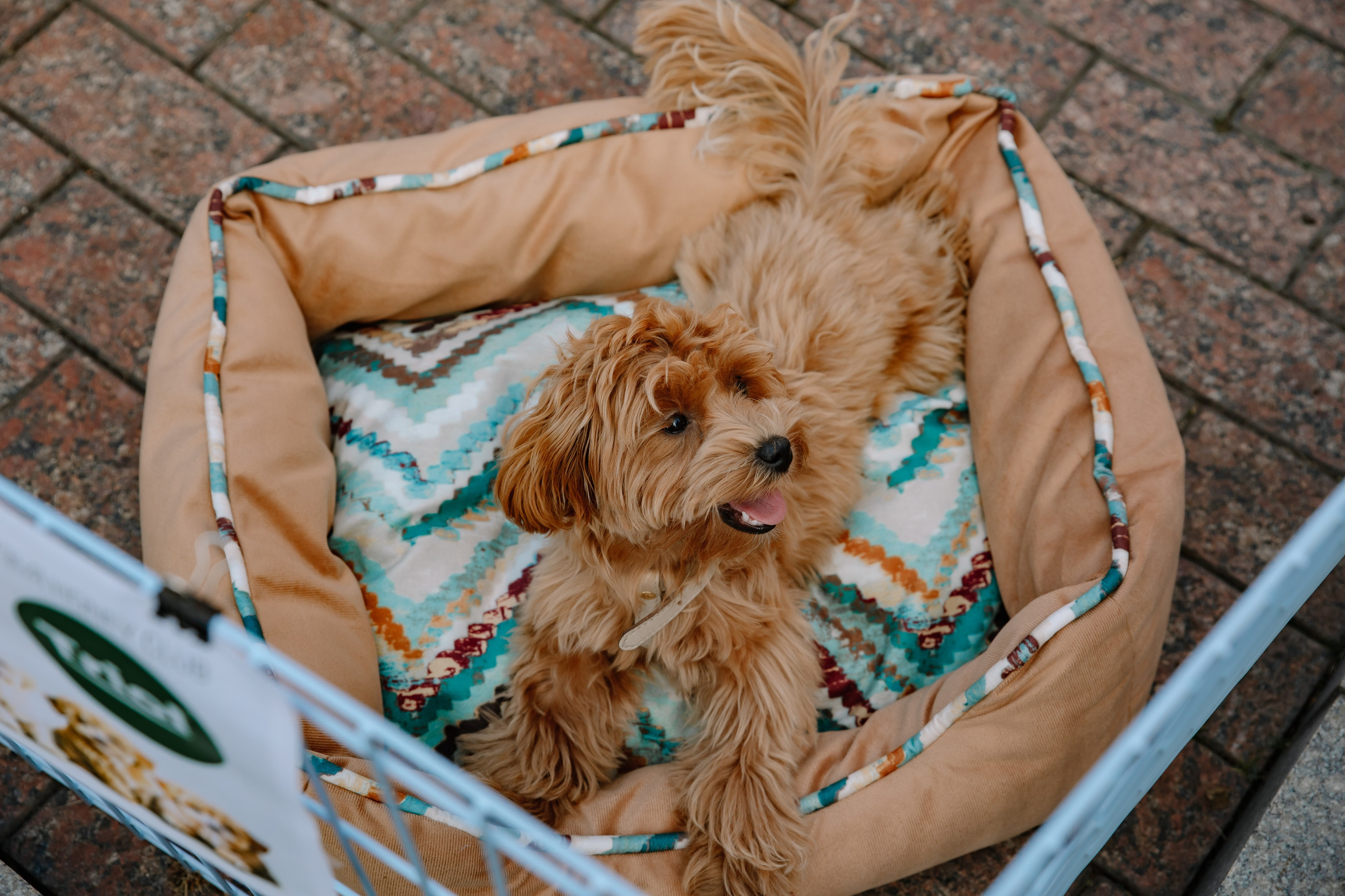 AESTHETIC ONLY в Петровском путевом дворце. Фотограф в Москве Яна Полосина