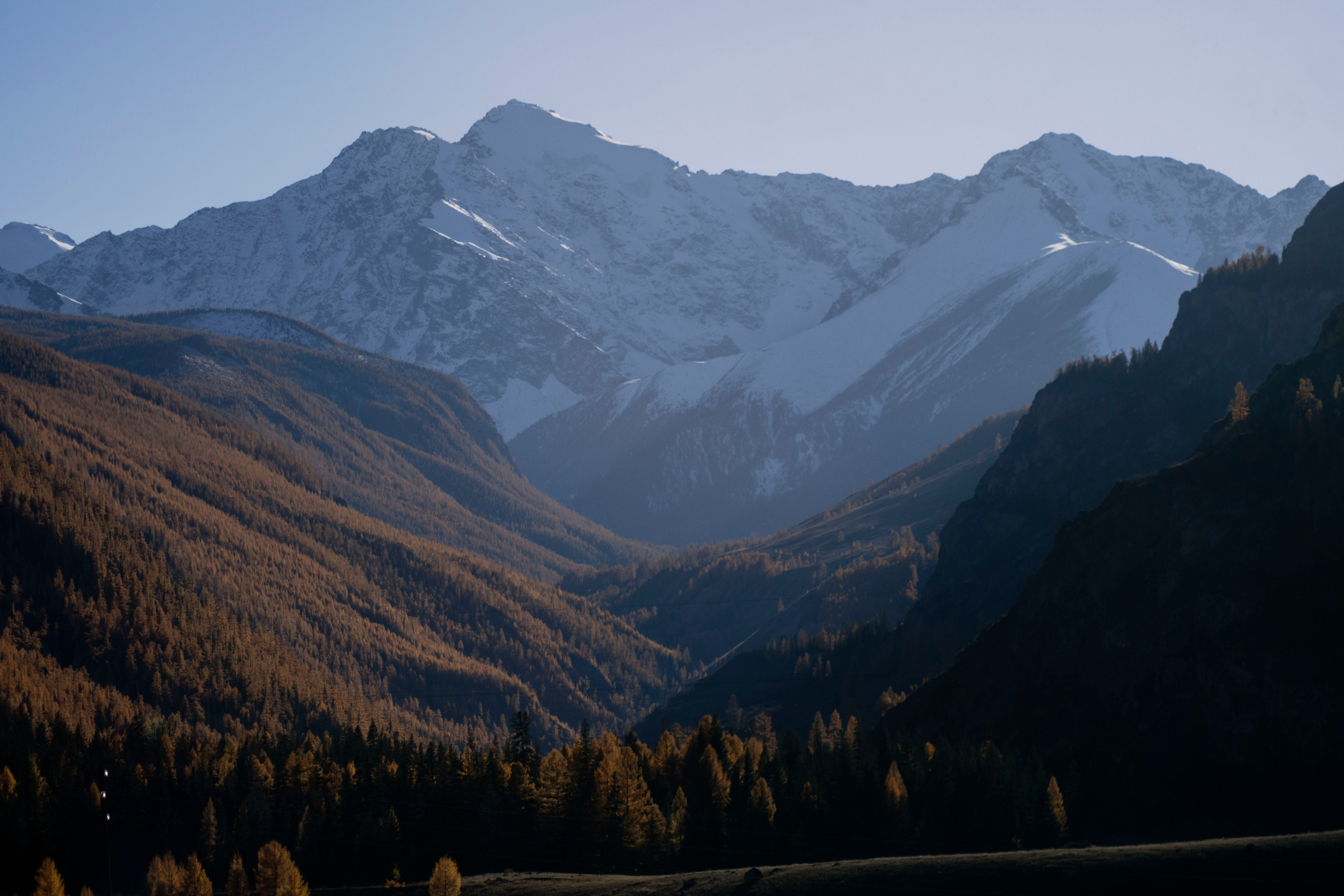 Altai landscape. Iraogo