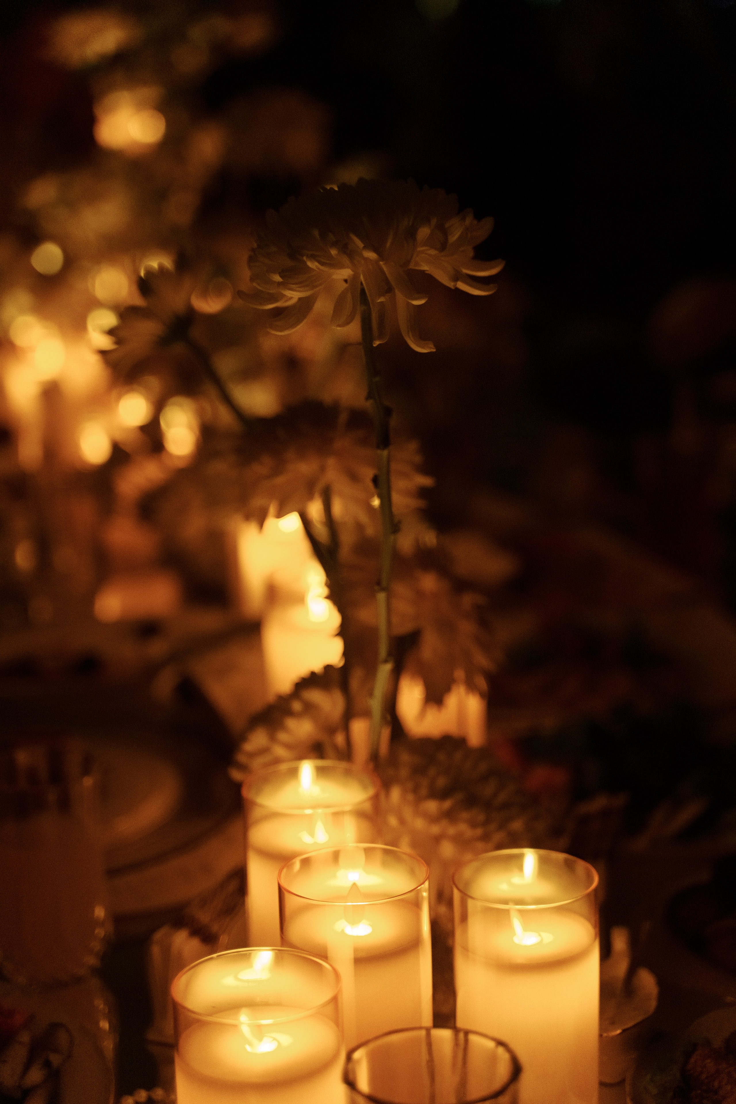 Сейчас самое время. Свадебный фотограф Корощенко Екатерина