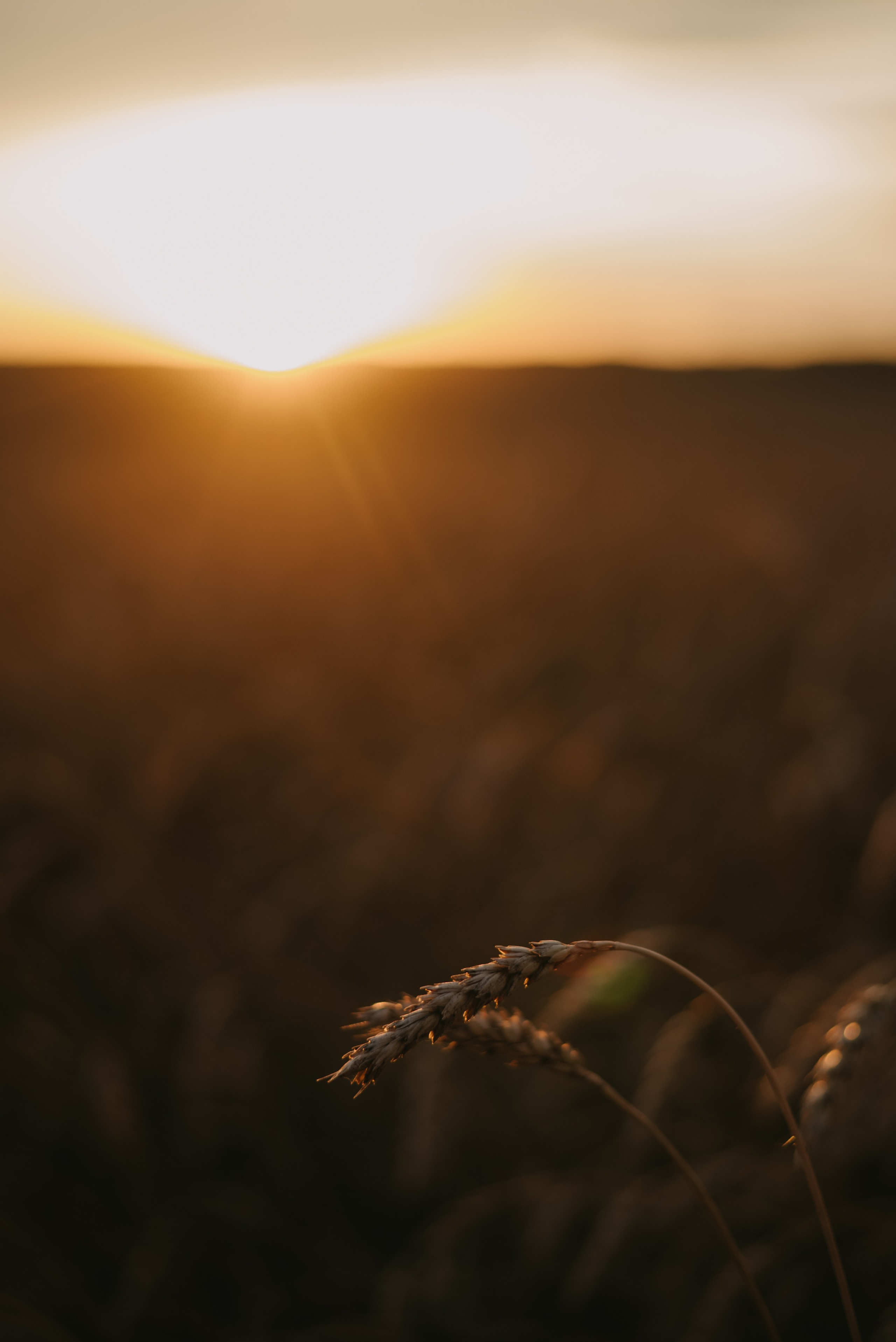 <3. Свадебный фотограф Уфа Дарья Насырова