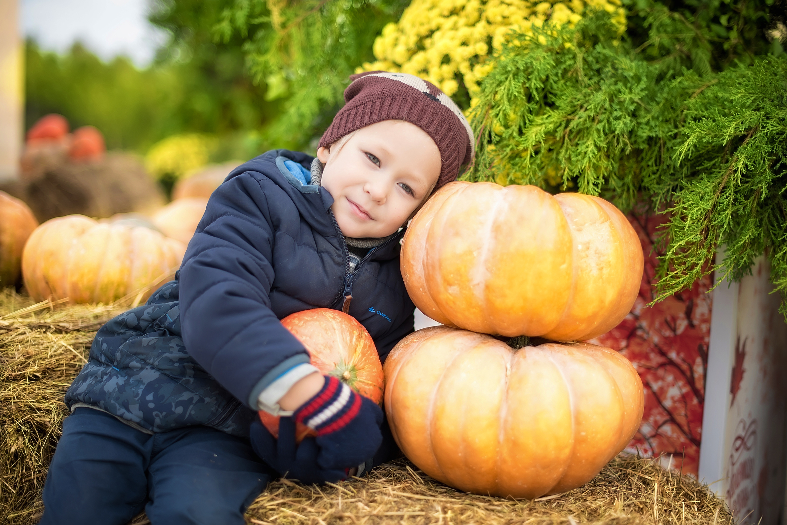 Осенняя фотосессия в Зеленограде и Москве