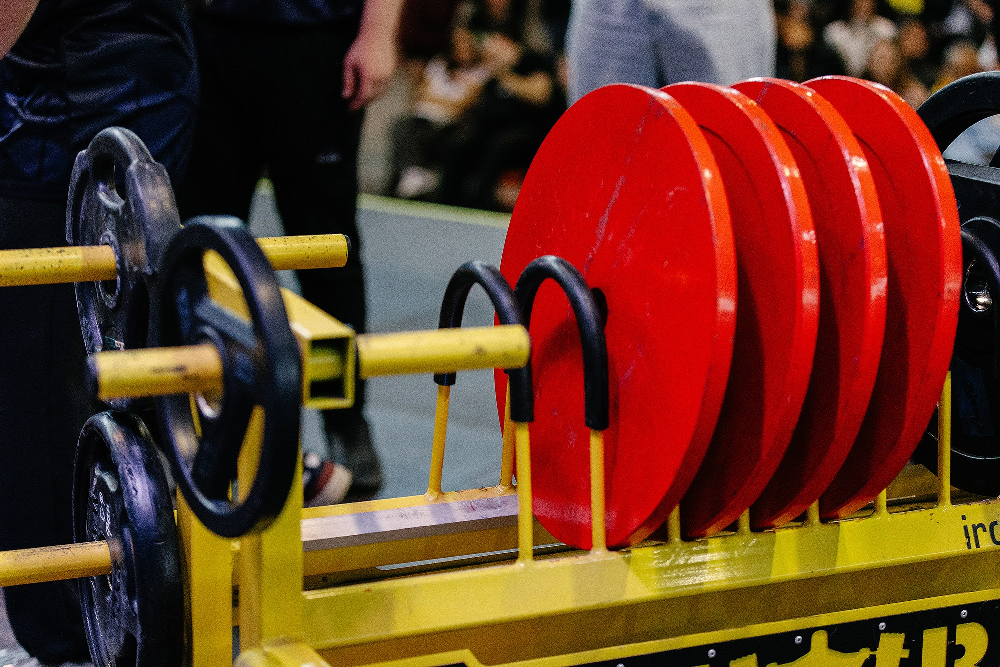 GOLDEN TIGER — XIX. Семейный и репортажный фотограф Наташа Давыдова