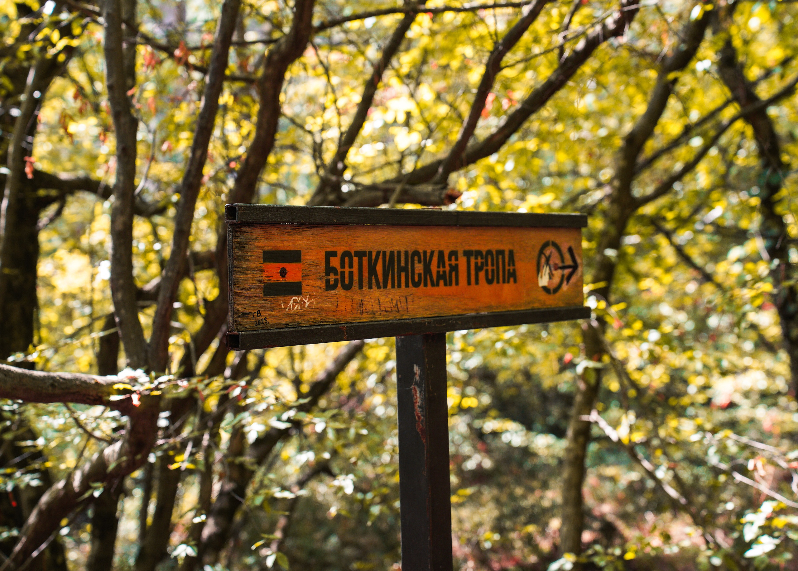 Боткинская тропа. Фотограф из Москвы — DASHA NOVA | Авторская фотография в разных жанрах