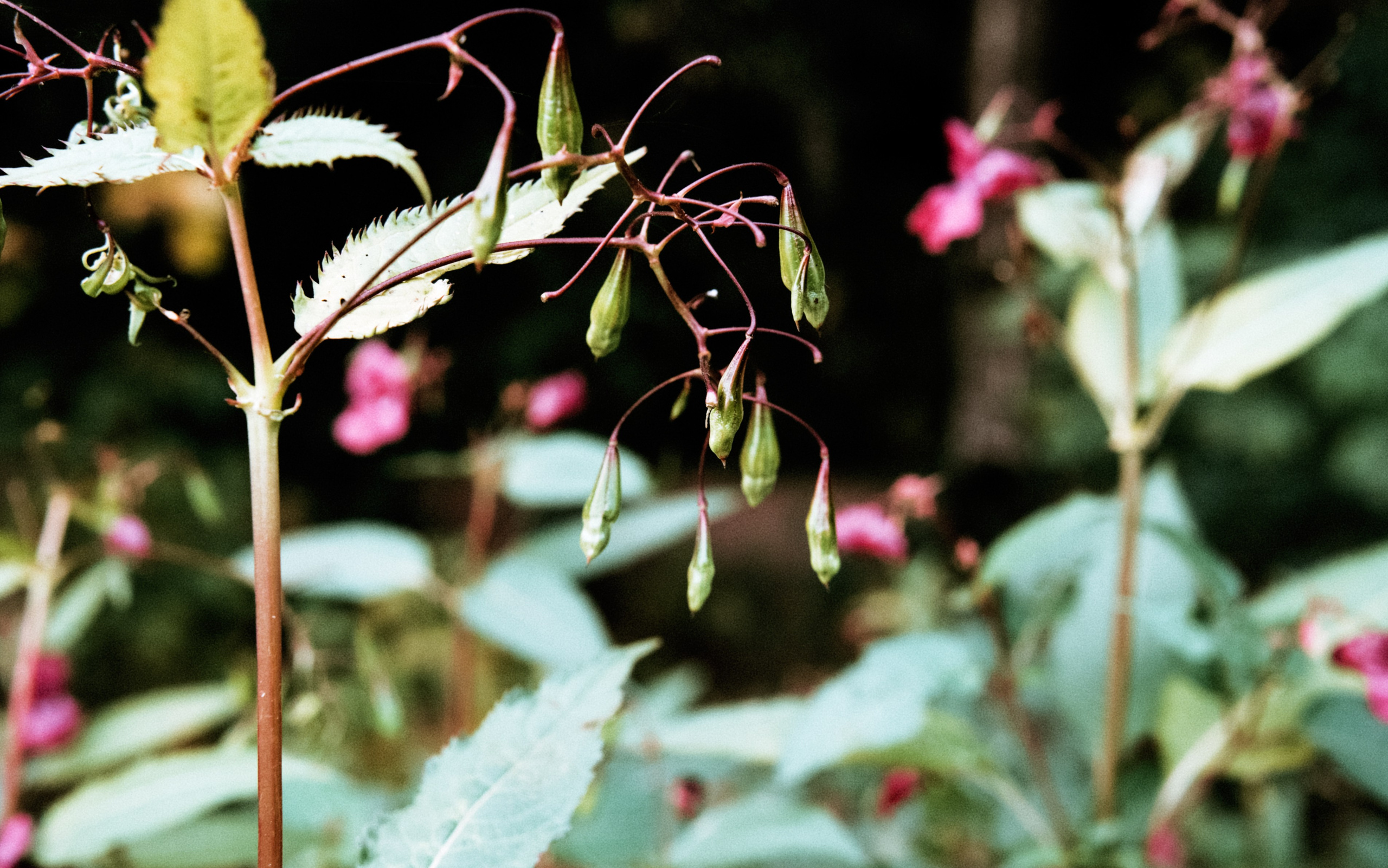 Осень 2025. Фотограф из Москвы — DASHA NOVA | Авторская фотография в разных жанрах