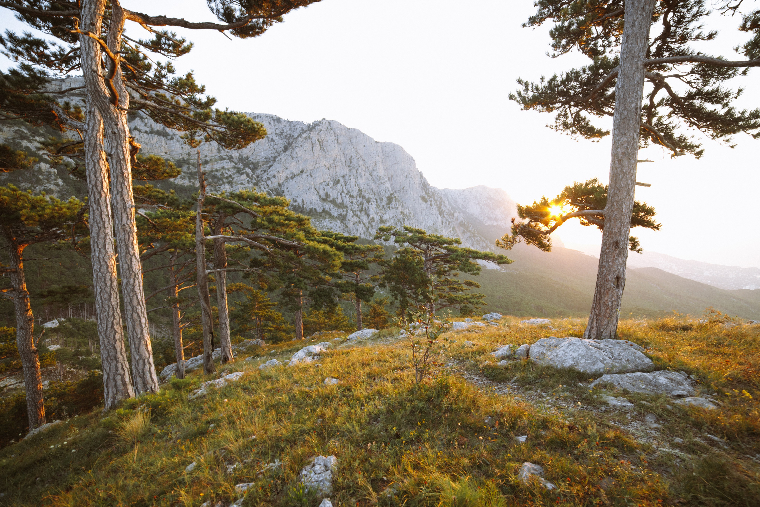 Nature. Артем Корнев Фотограф