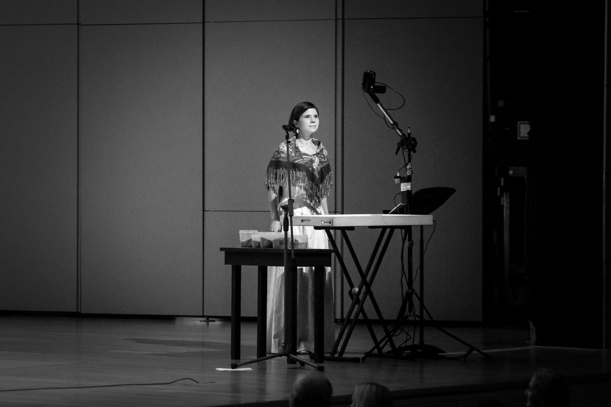 Концерт «Сказки Пушкина» с Екатериной Гусевой. Дарья Письменюк / Darya Leitstern — фотограф, музыкант, журналист, путешественник