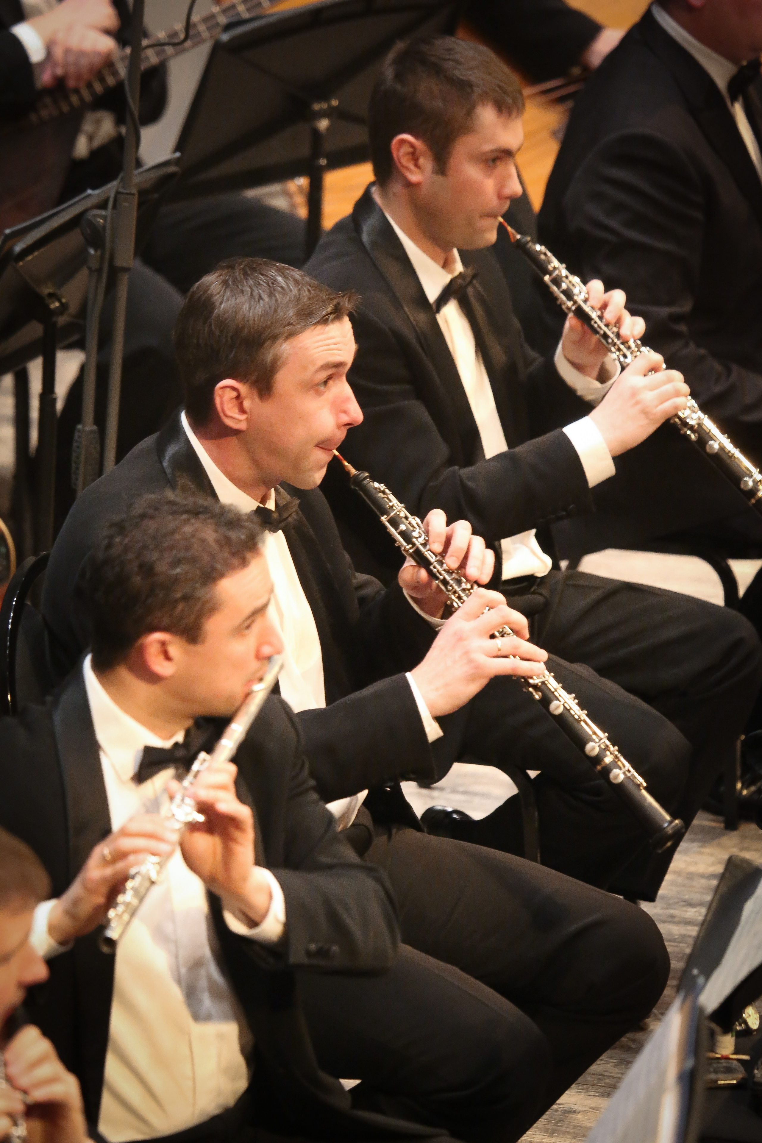 Живописная музыка: концерт к 175-летию Мусоргского. Дарья Письменюк / Darya Leitstern — фотограф, музыкант, журналист, путешественник