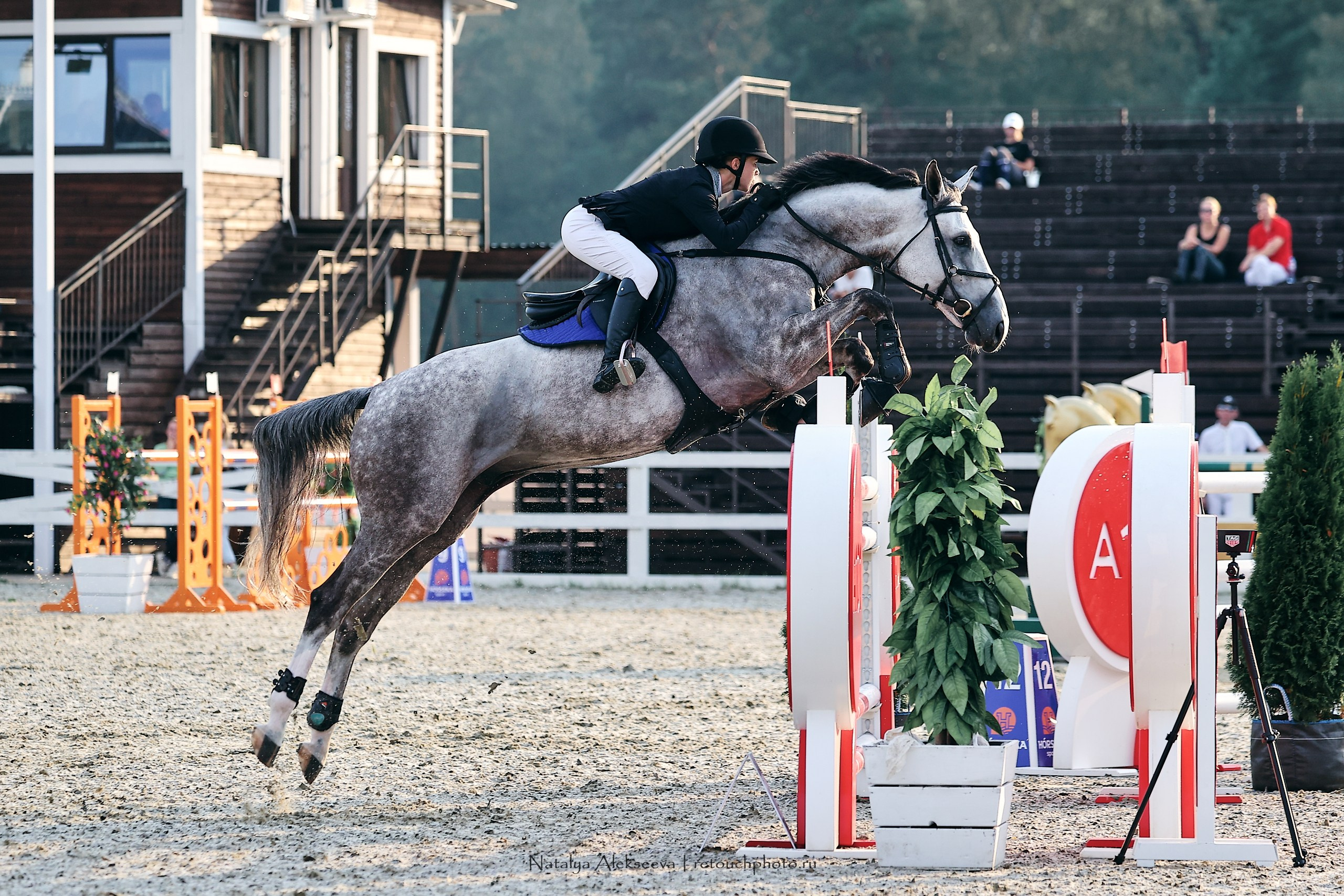 Лично-Командный ЧР по конкуру, КСК Horseka | 08'2023. Репортажный фотограф и ретушер в Москве Наталья Алексеева