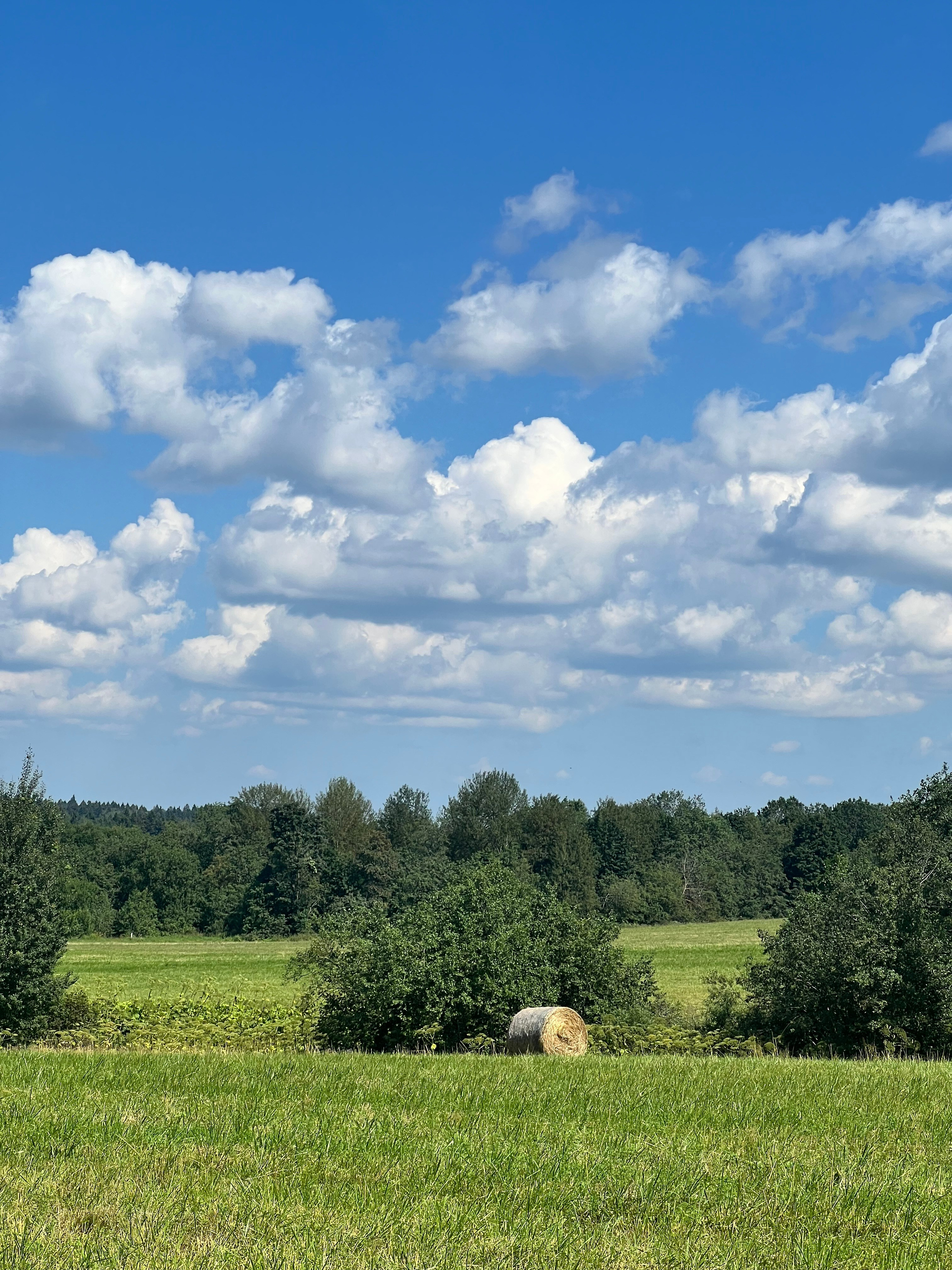 Радонежье. Путешествия со смыслом
