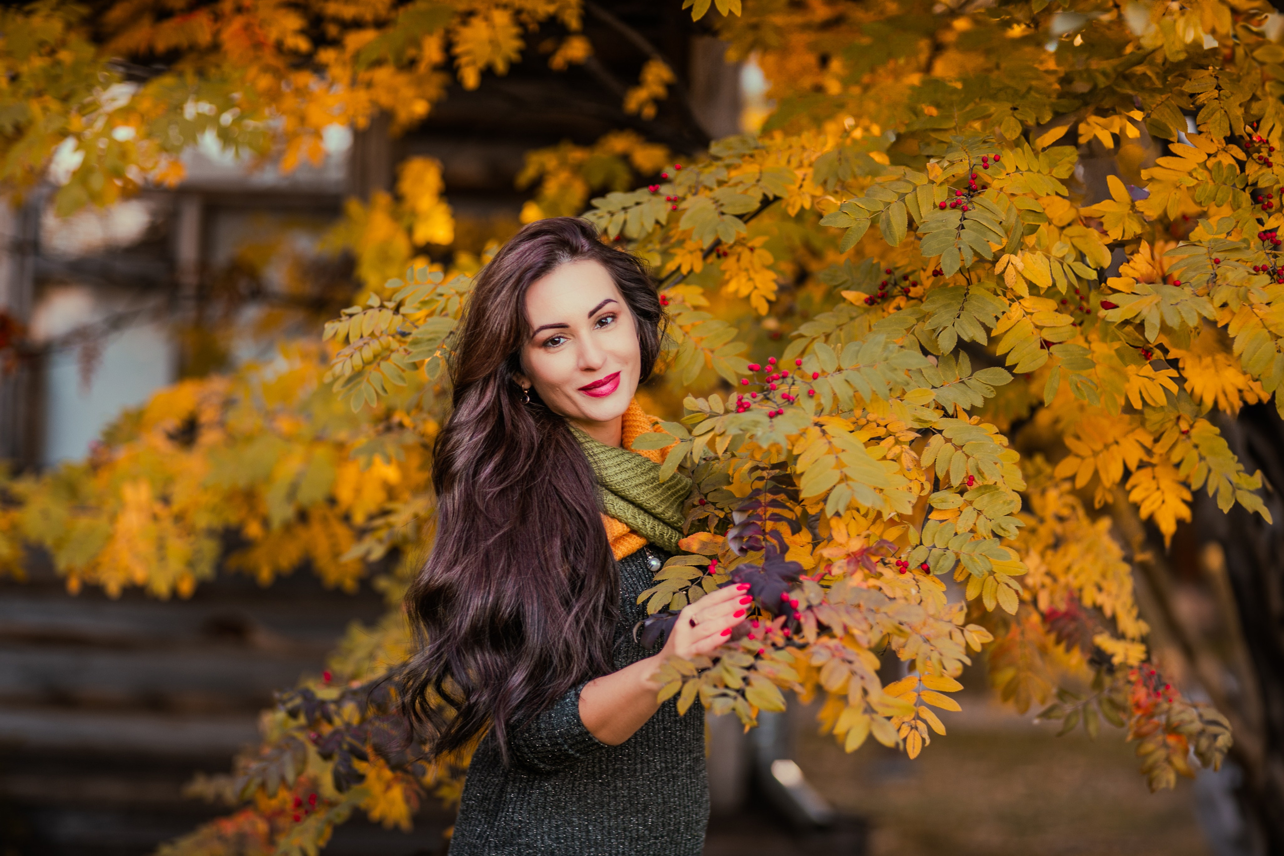 Багрец и золото. Фотограф Елена Вишневская (Ушакова) Нефтеюганск, Сургут, Тюмень