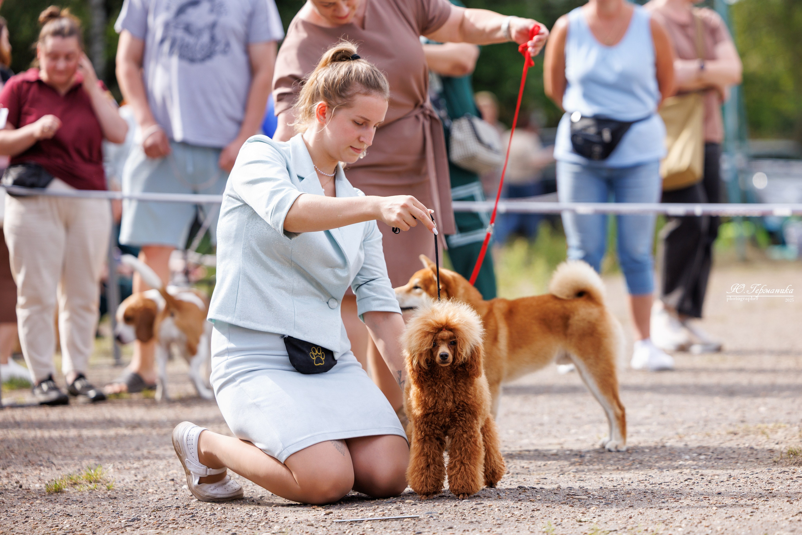 Тверь 10.08.2025. Фотограф-анималист Юлия Германика