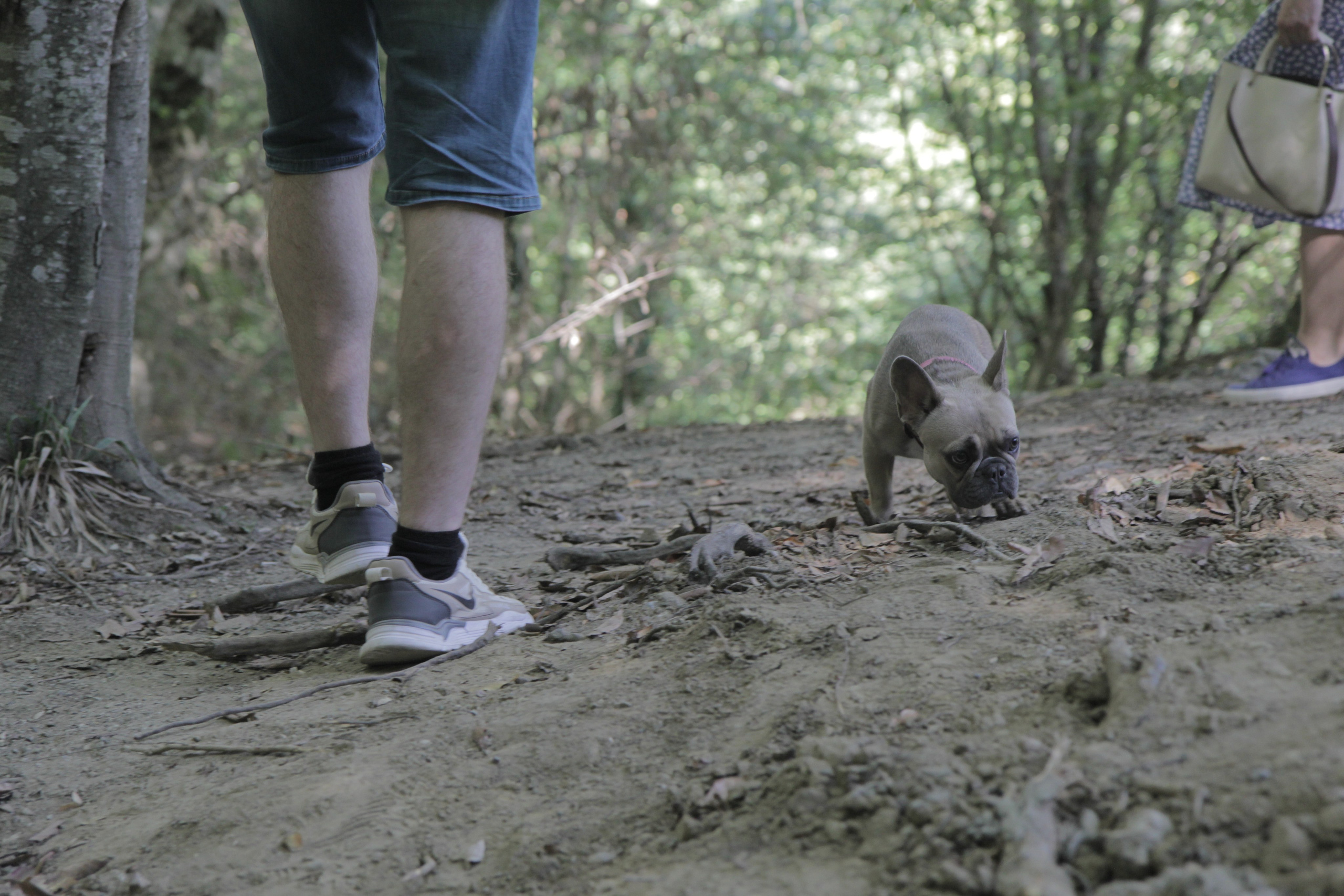 Горячий Ключ (2024-09-22). Собор Отрасли