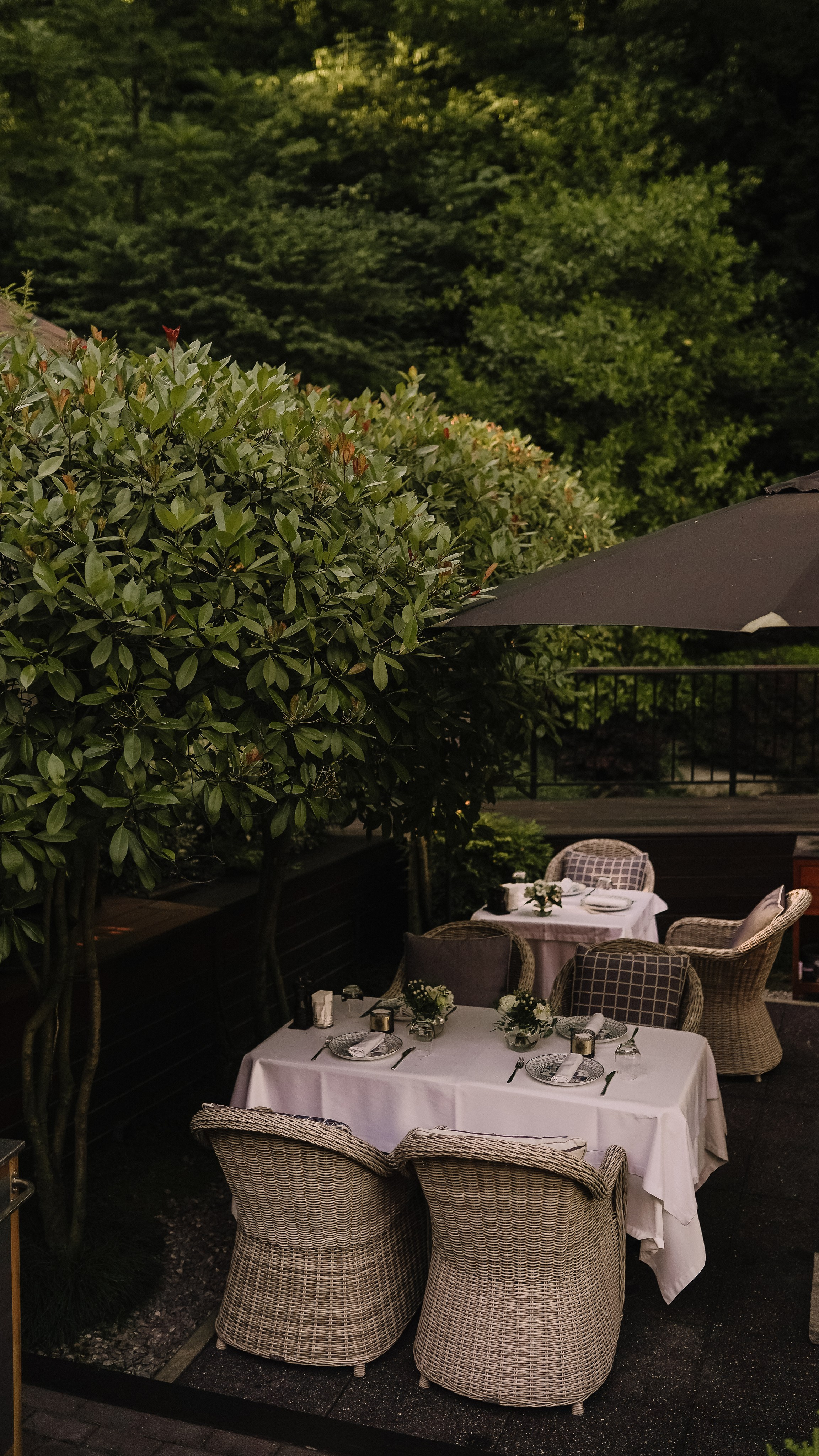 Мамай-Кале — Ресторан в лесу. Милана Довгаль - семейный фотограф и видеограф  в Адлере и Сочи