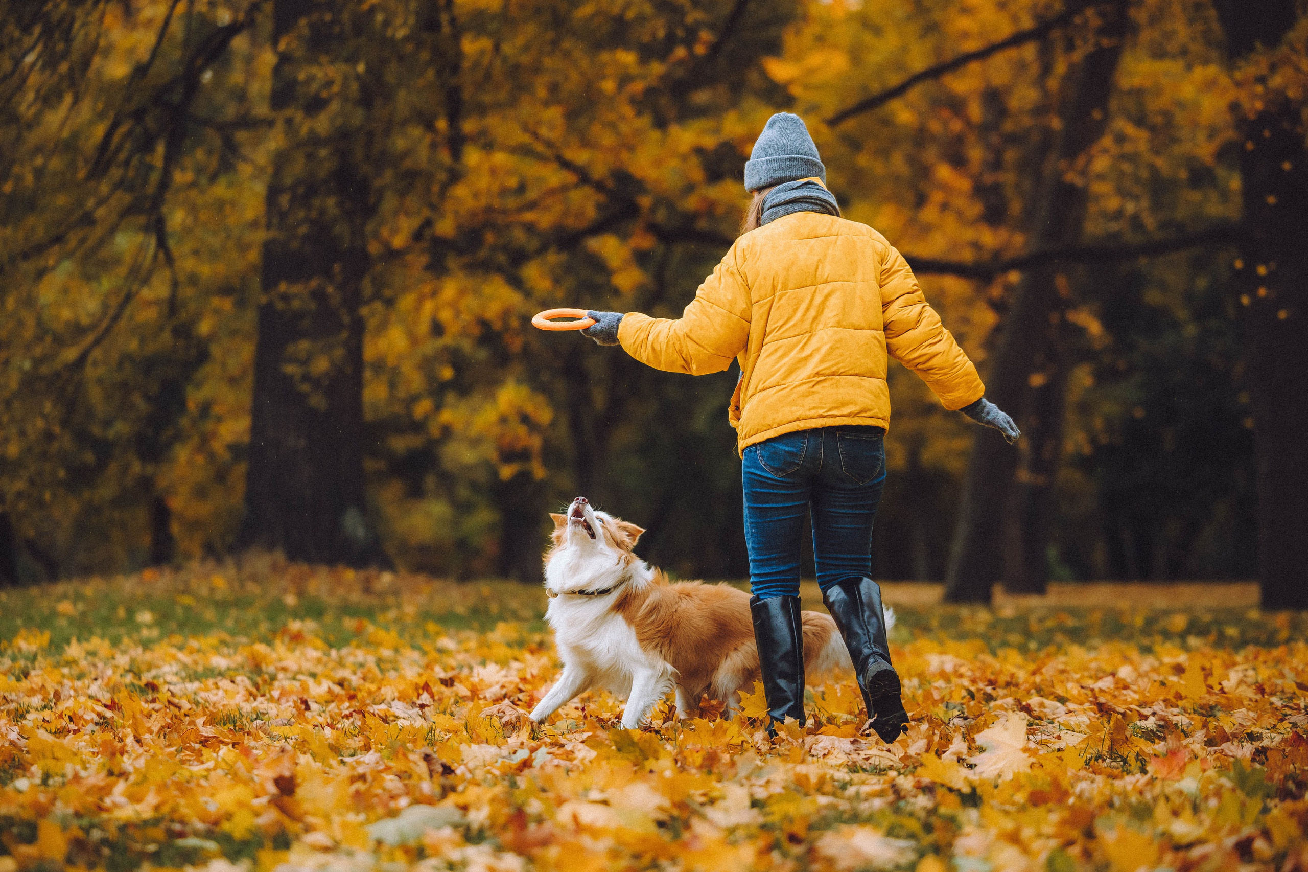 Алина, Витя и Асти