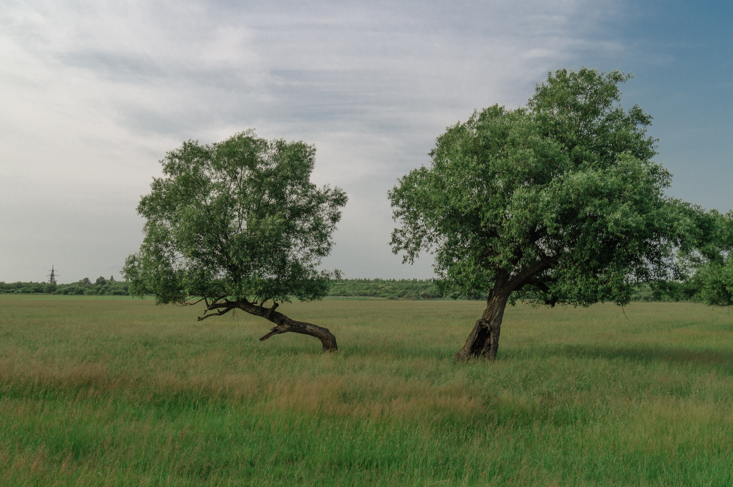 Мой ДВ. Колентеева Наталья/фотограф