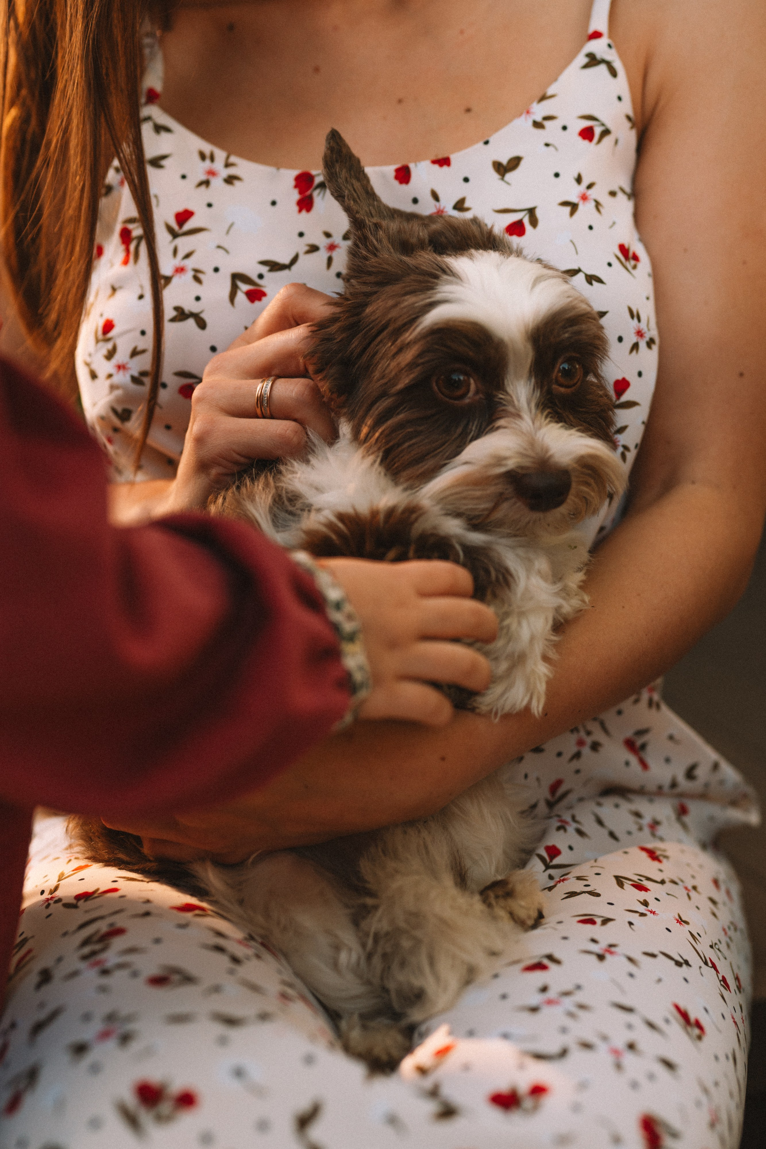 Дом солнца. Семейный фотограф Валерия Фабричникова, Москва