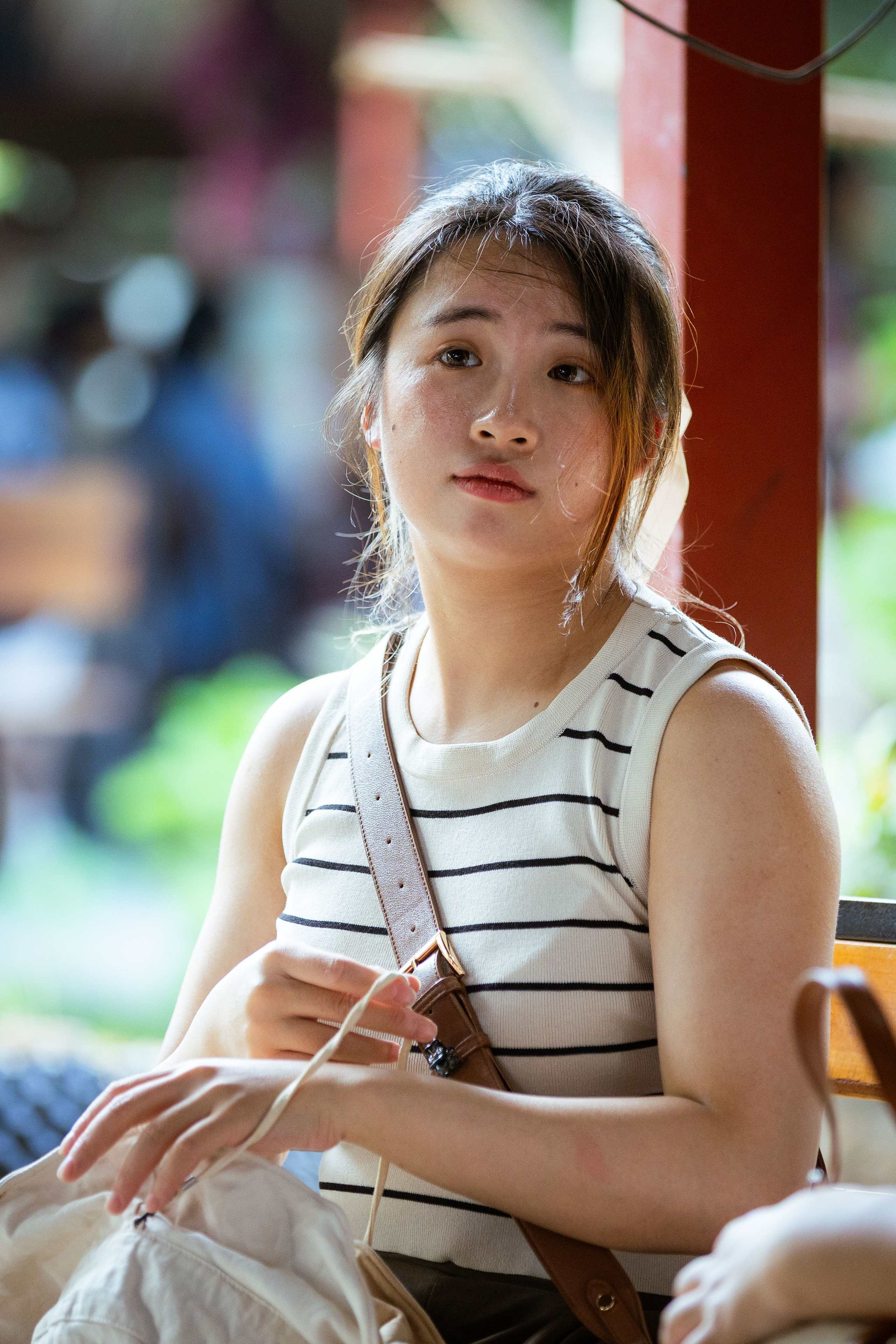 Вьетнам (зима 2025-2026). Фотограф Виноградов Константин