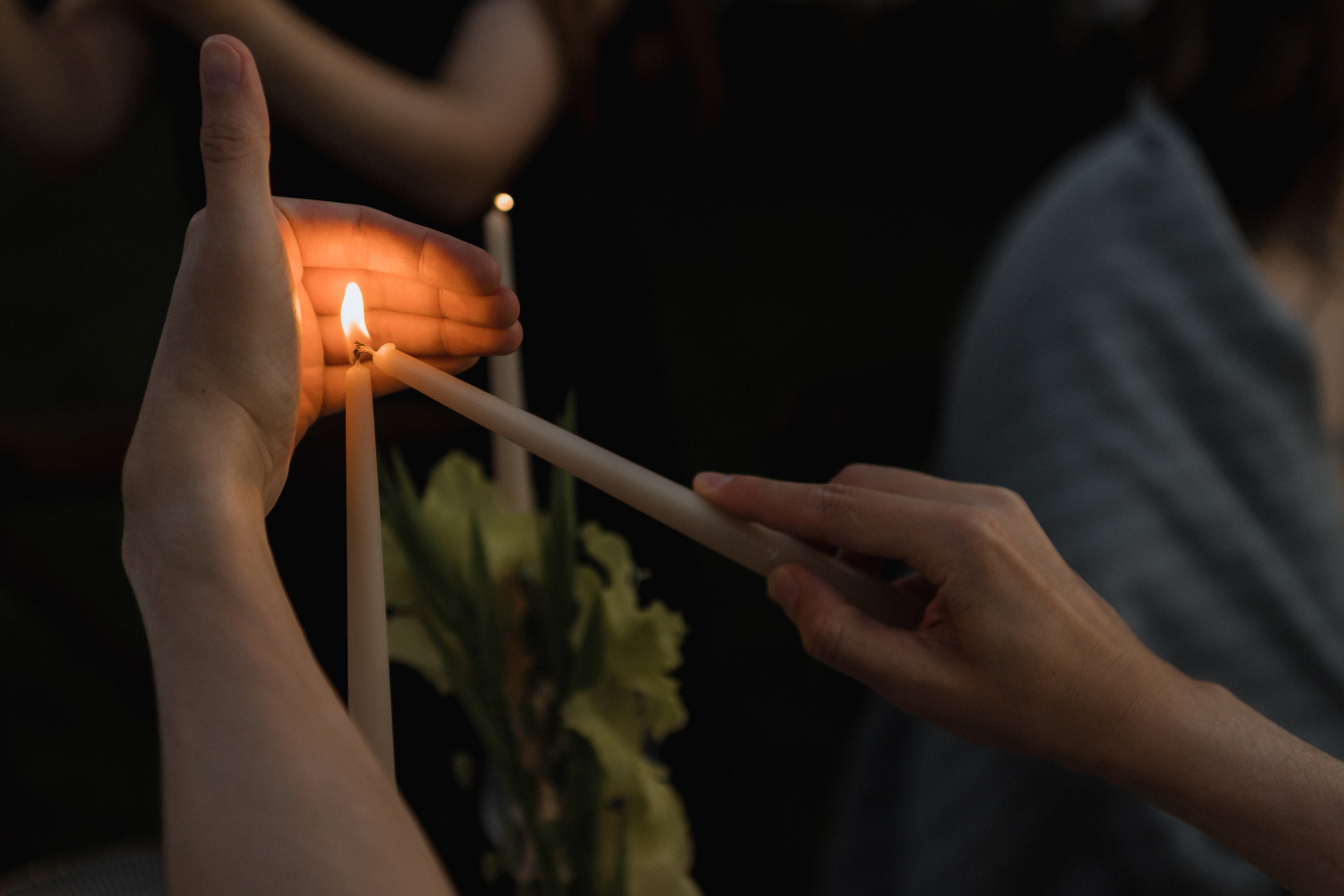 Voilà| свадьба под открытым небом. Свадебный и семейный фотограф в Анапе/Новороссийске Виктория Чайка