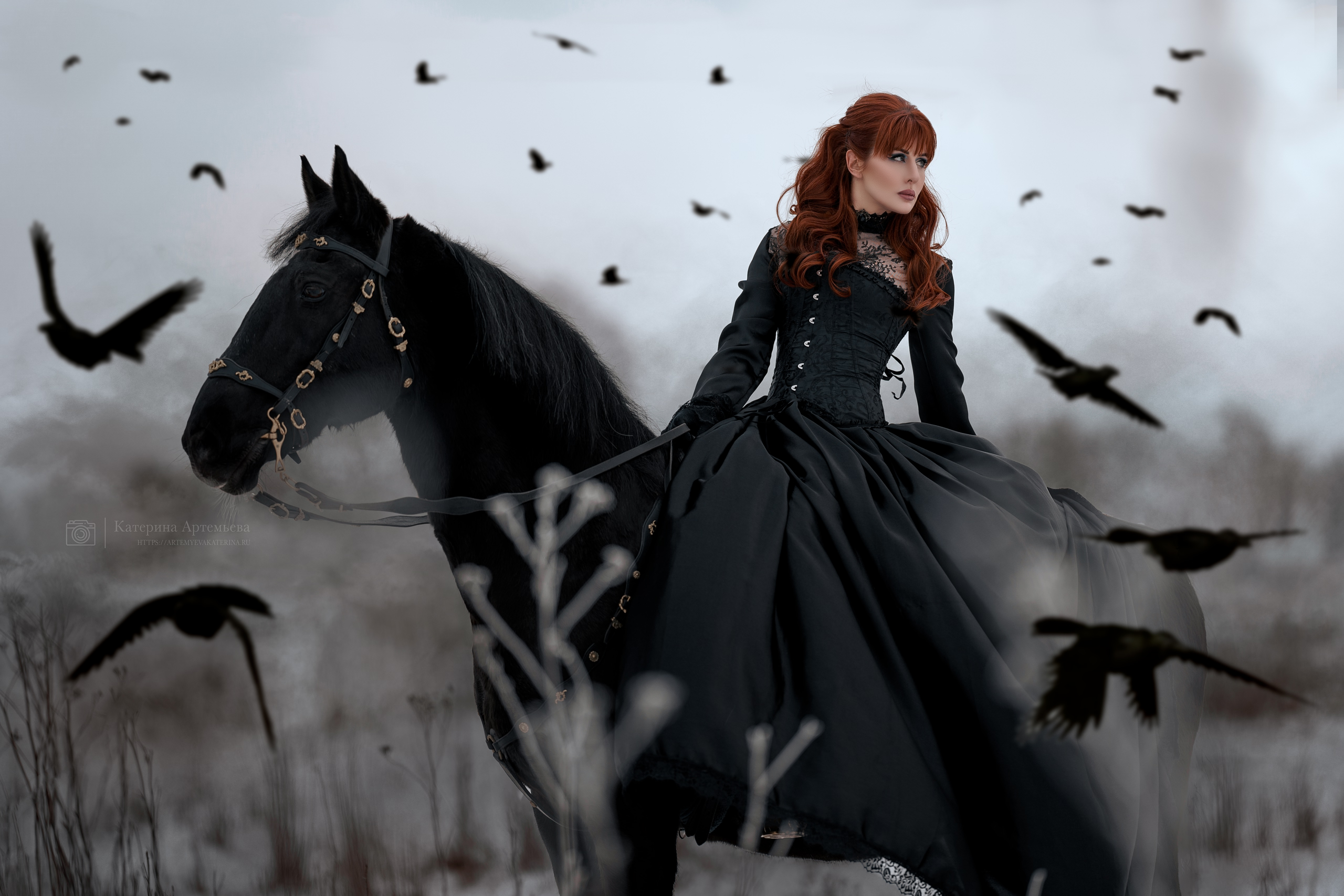 Фотосессии с лошадьми. Фотограф Артемьева Катерина|фотосессии с лошадьми
