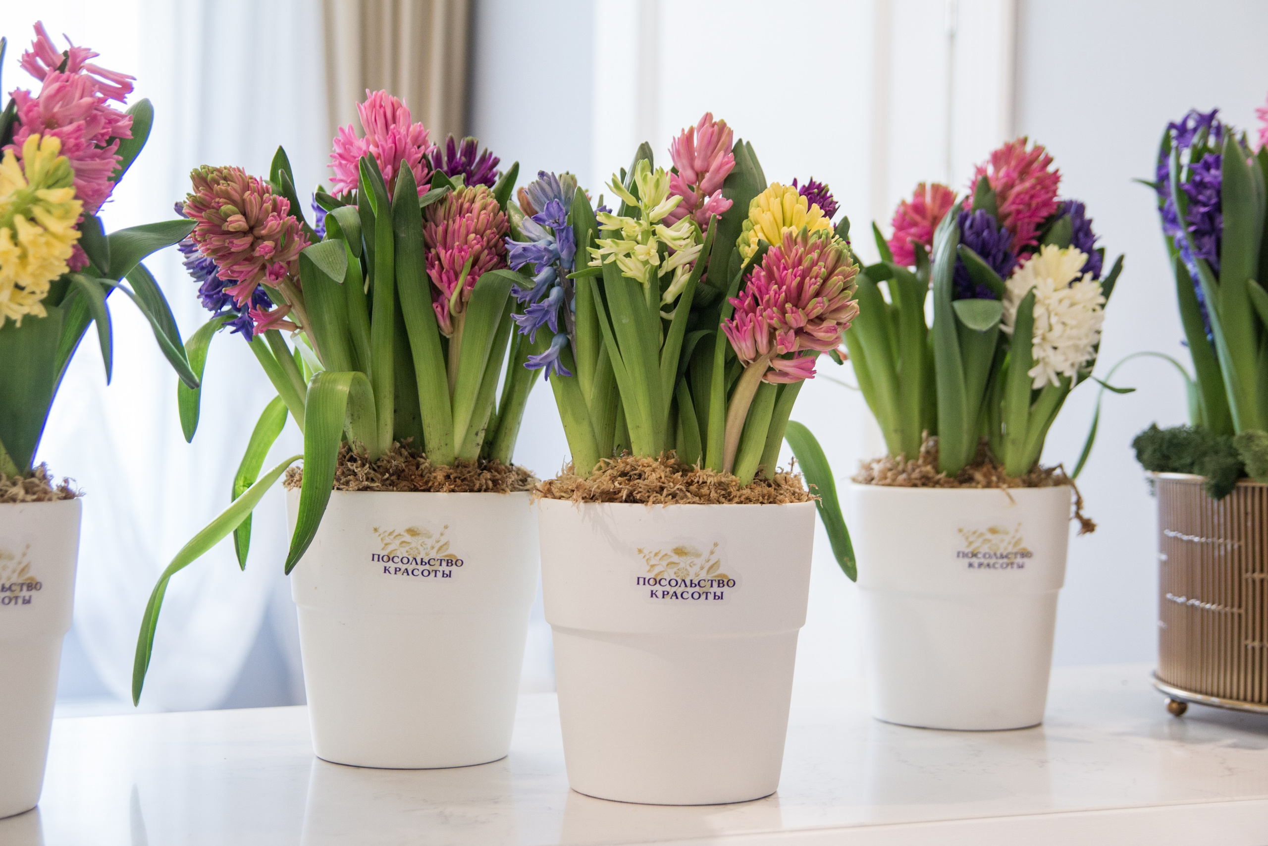 Посольство красоты 2021. Ксения Почтарь. Декоратор и флорист, город Владивосток