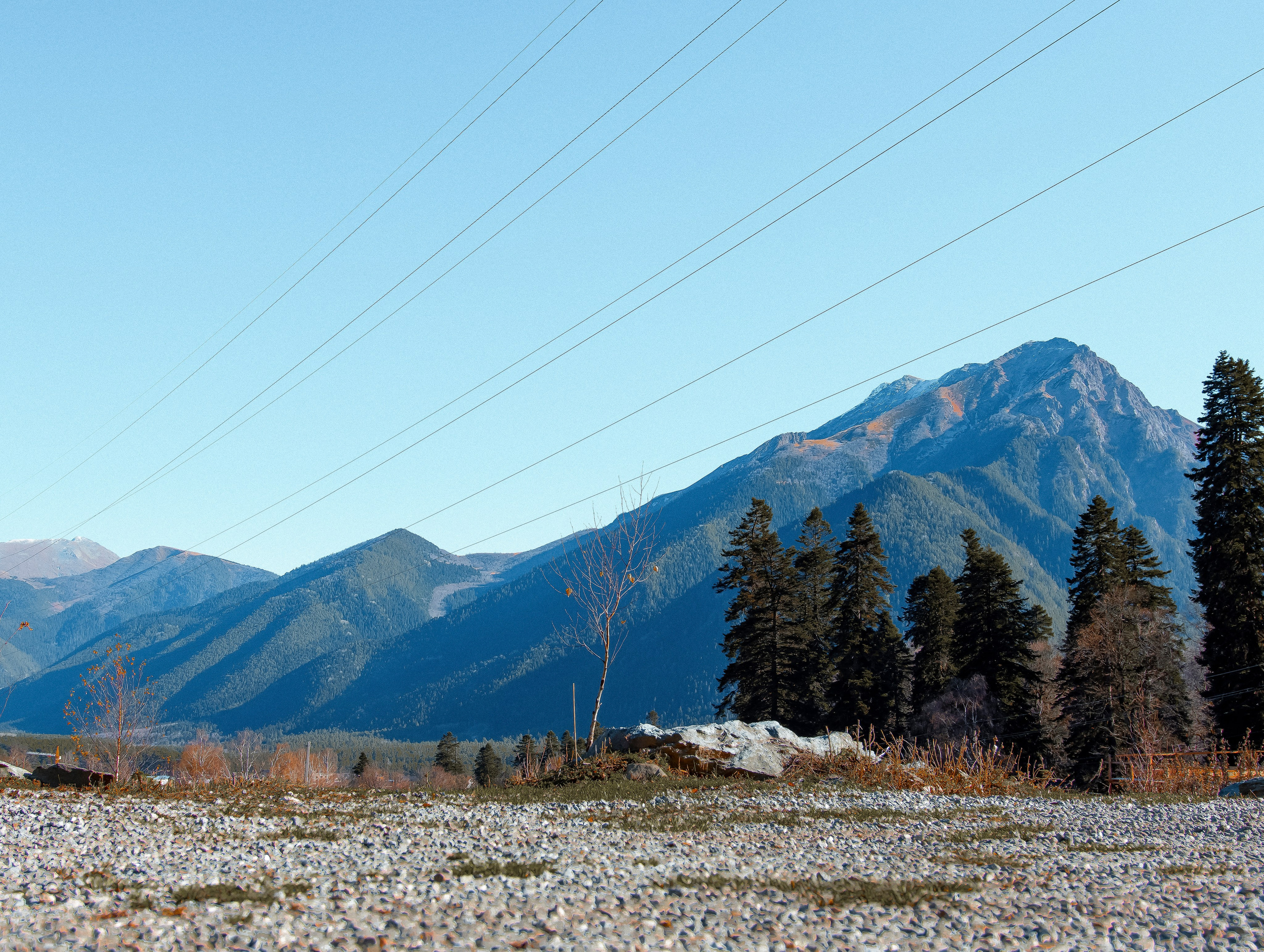Интерьерная съемка. Свадебный и семейный фотограф | SVET.photo