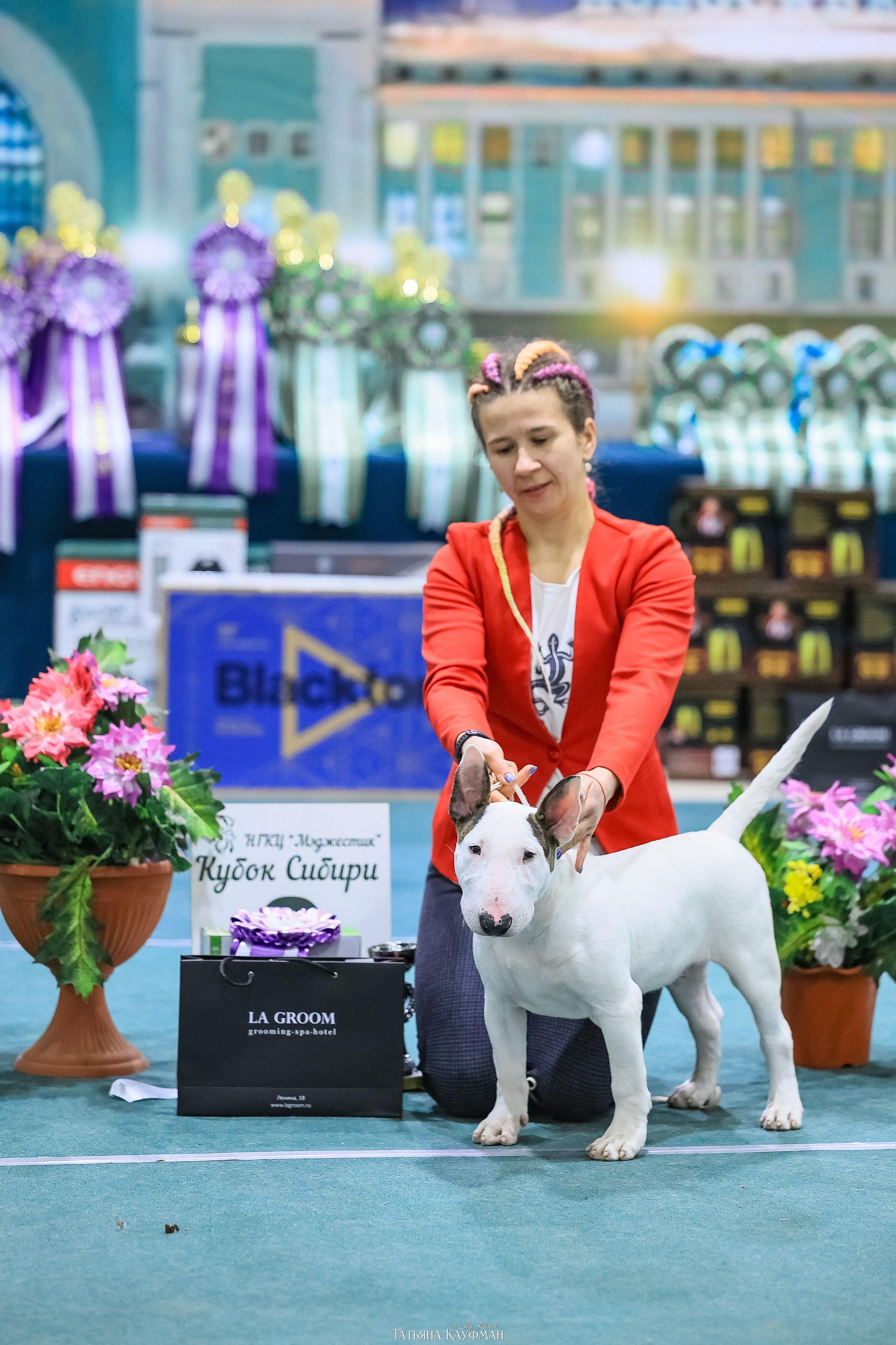 6-7.12.25 — 1-4 Национальные выставки собак в Новосибирске (2х рейтинговые). Фотограф Анималист из Новосибирска Татьяна Кауфман