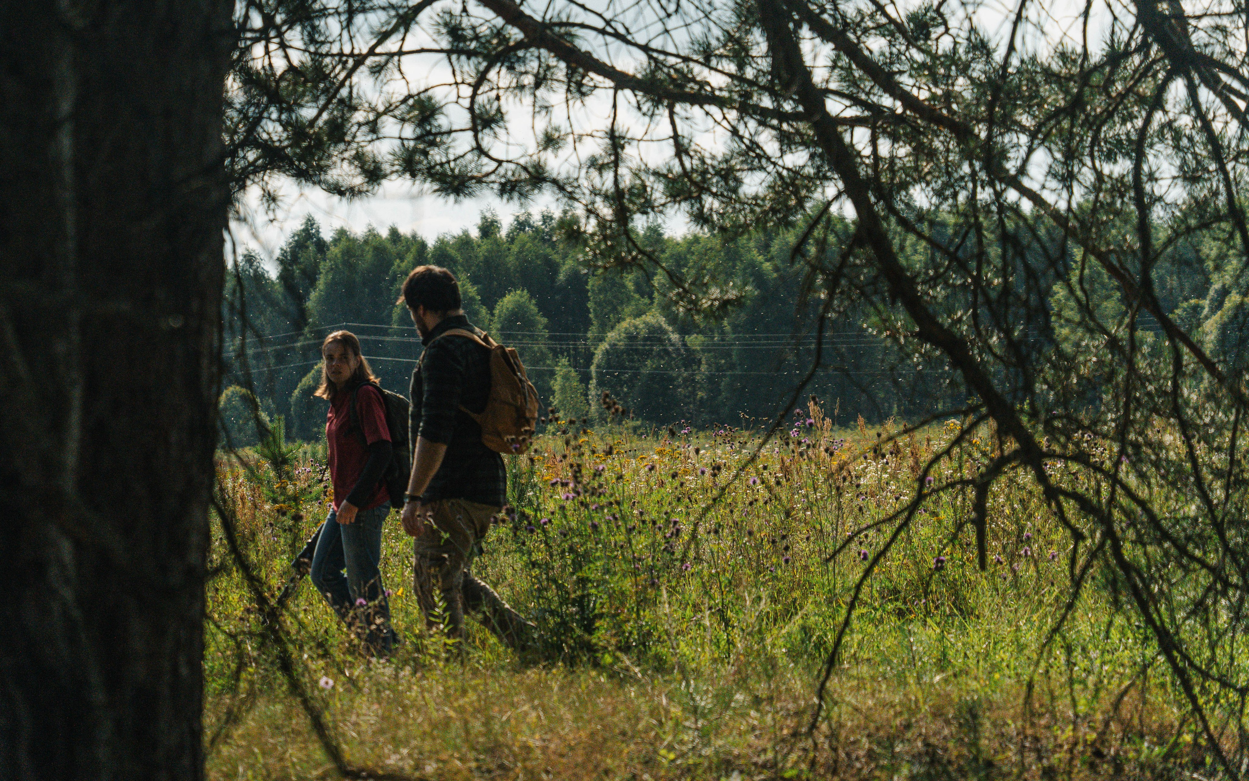 Фотосессия The Last of Us (Одни из нас). Светофография