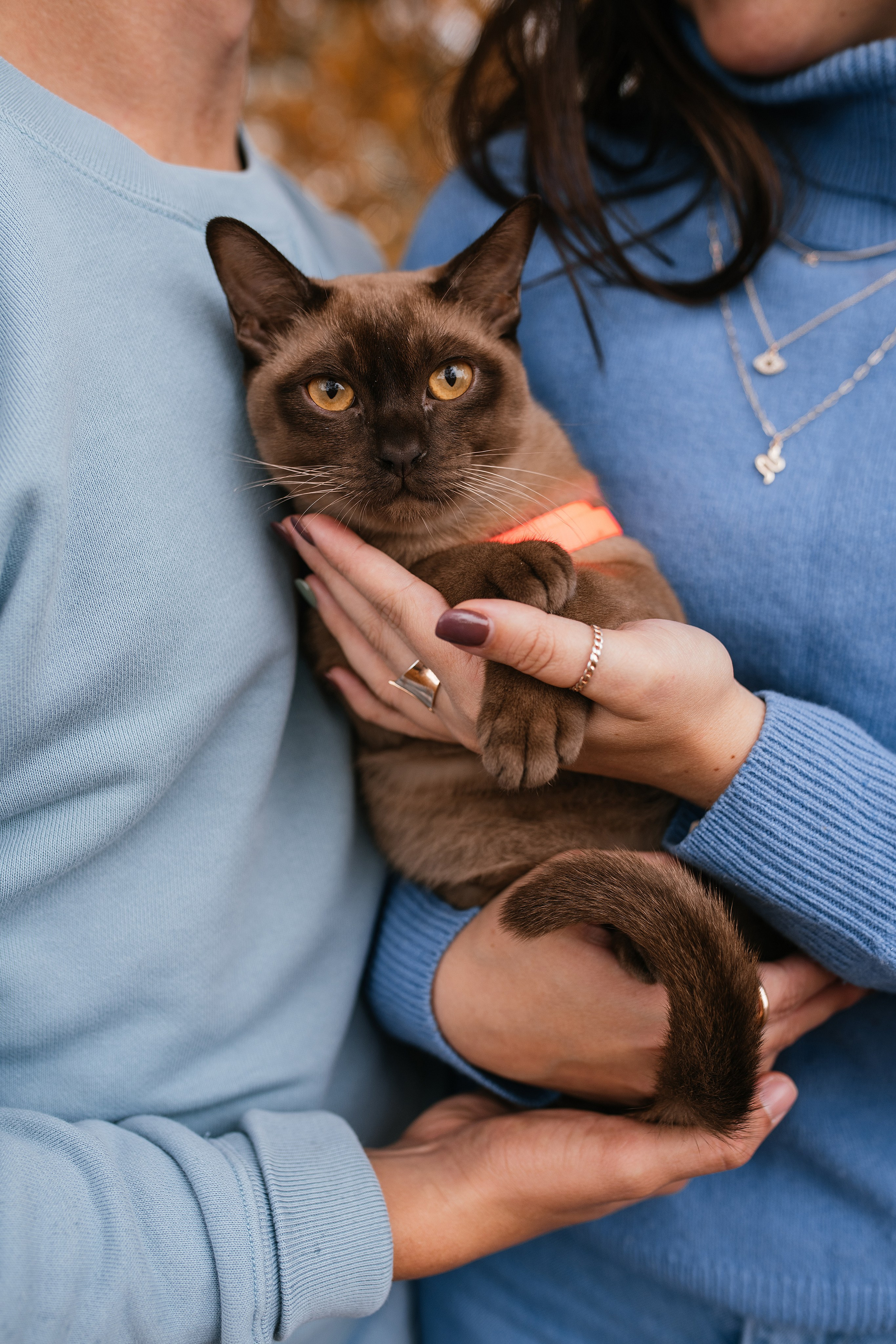 Осенний фотодень Саша и Максим. Свадебный, семейный фотограф в Рязани Лена Брант