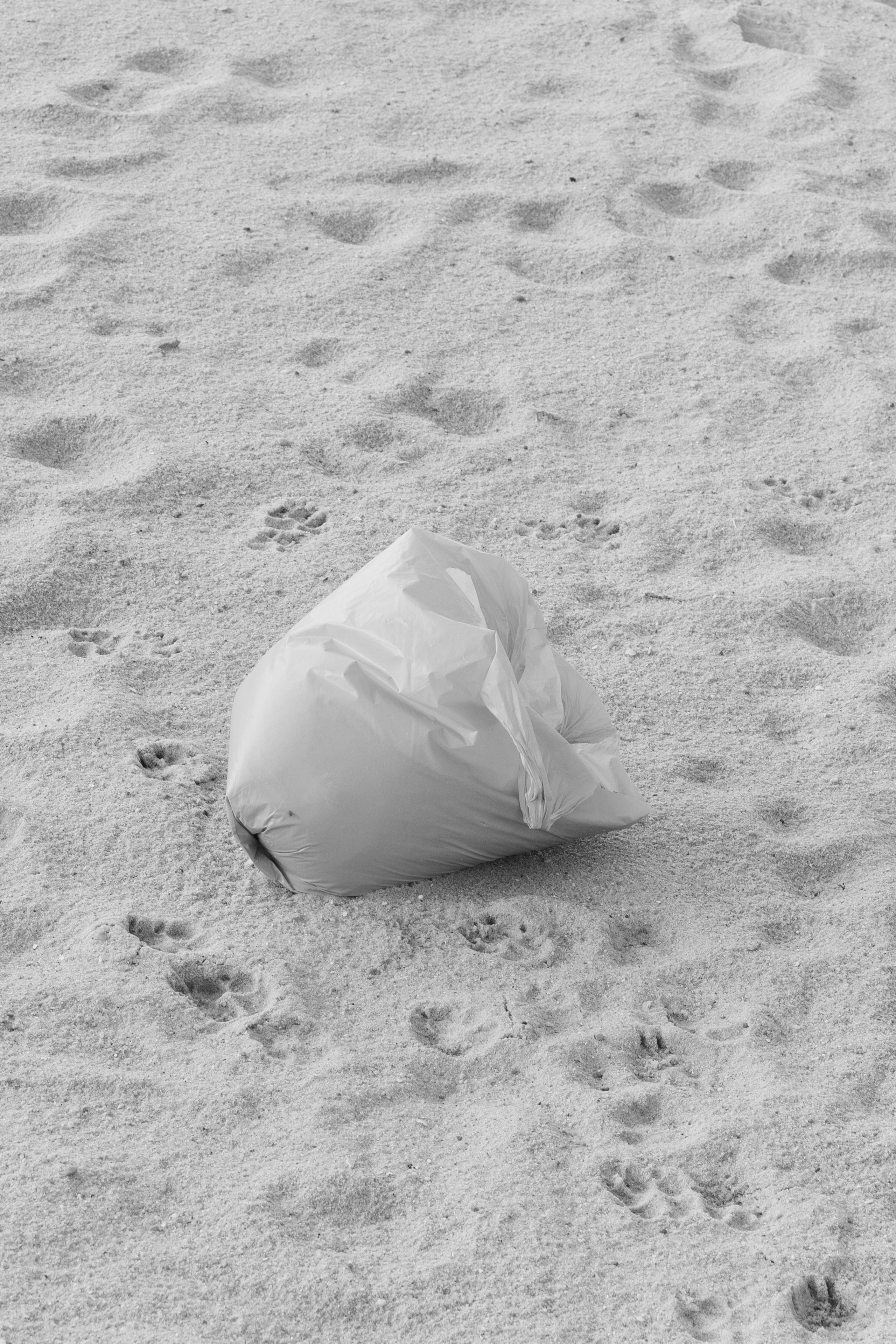 Art prints. Фотограф алина стерхова, алина стерхова фотограф, фотограф москва