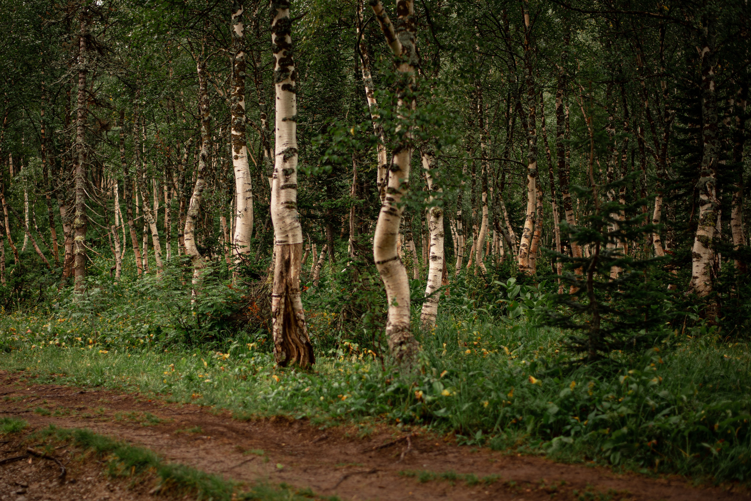 Ивановские озера. Приподаева Алёна семейный и детский фотограф в Красноярске