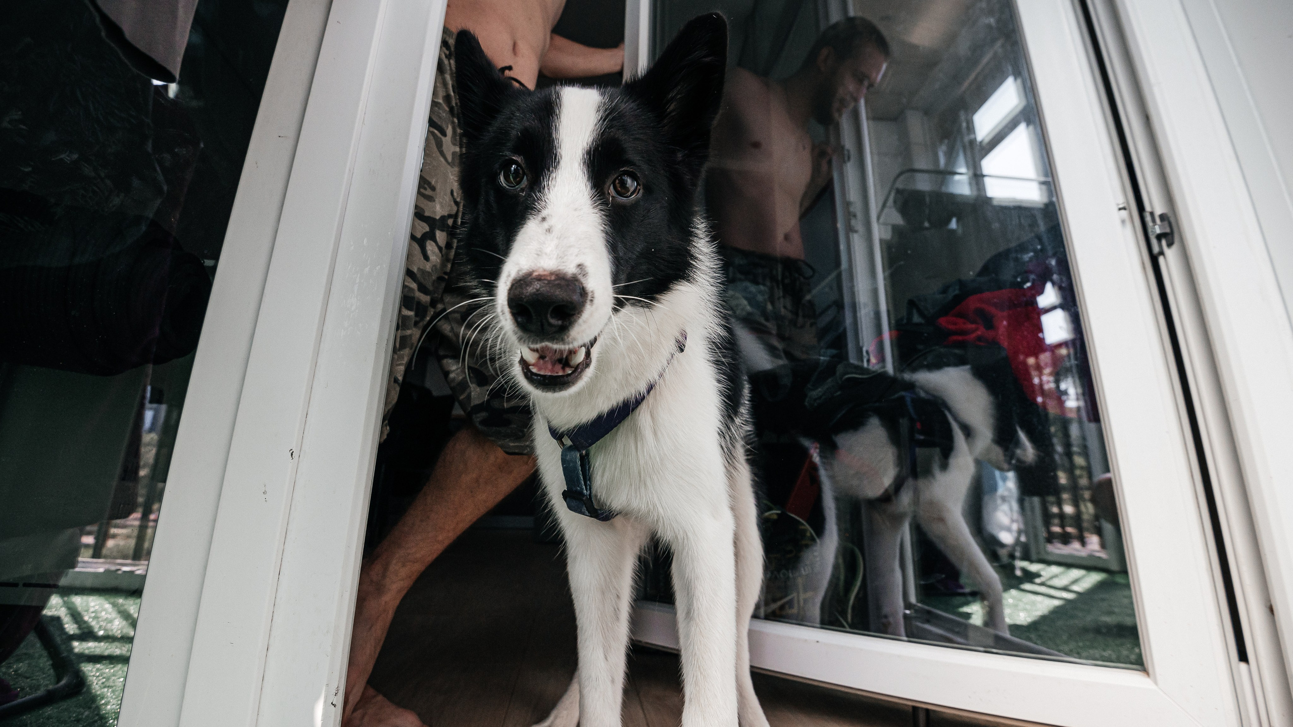 Юра. Фотограф в Благовещенске Андрей Сенченко