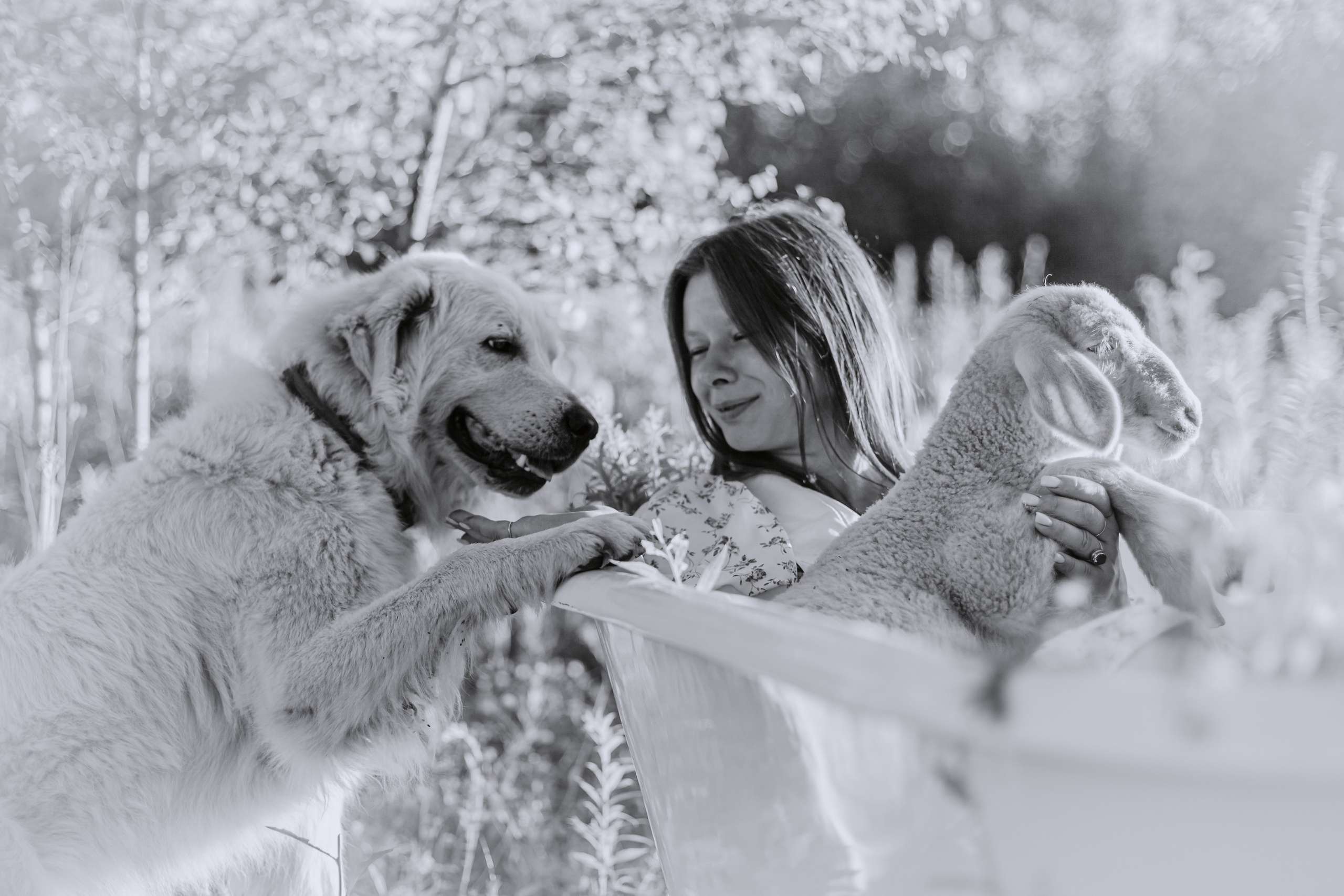 Ванна в поле. Фотограф-анималист Татьяна Степанова