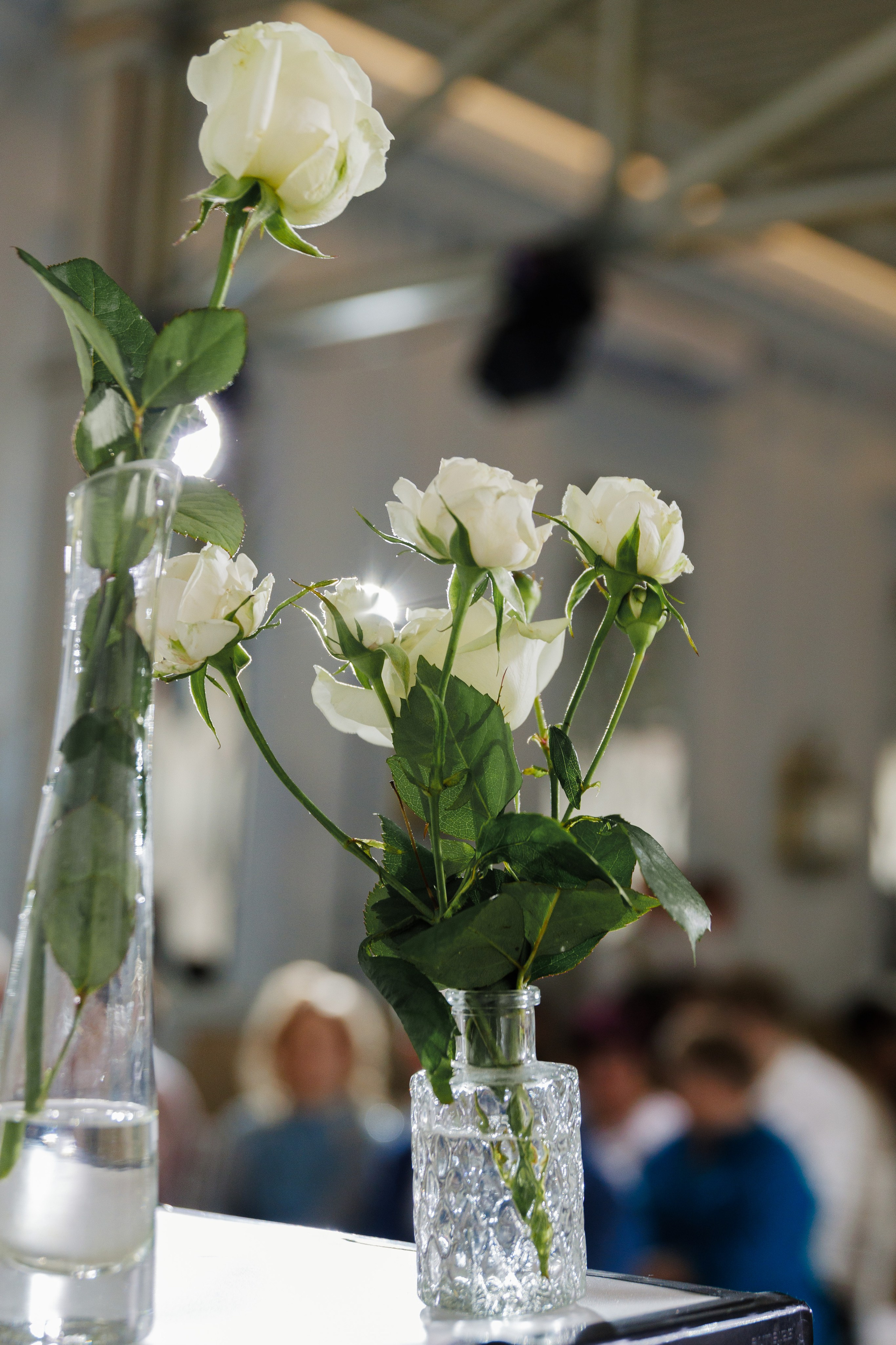 Виталий и Юлия. Фотограф в Кирове Настя Шабардина