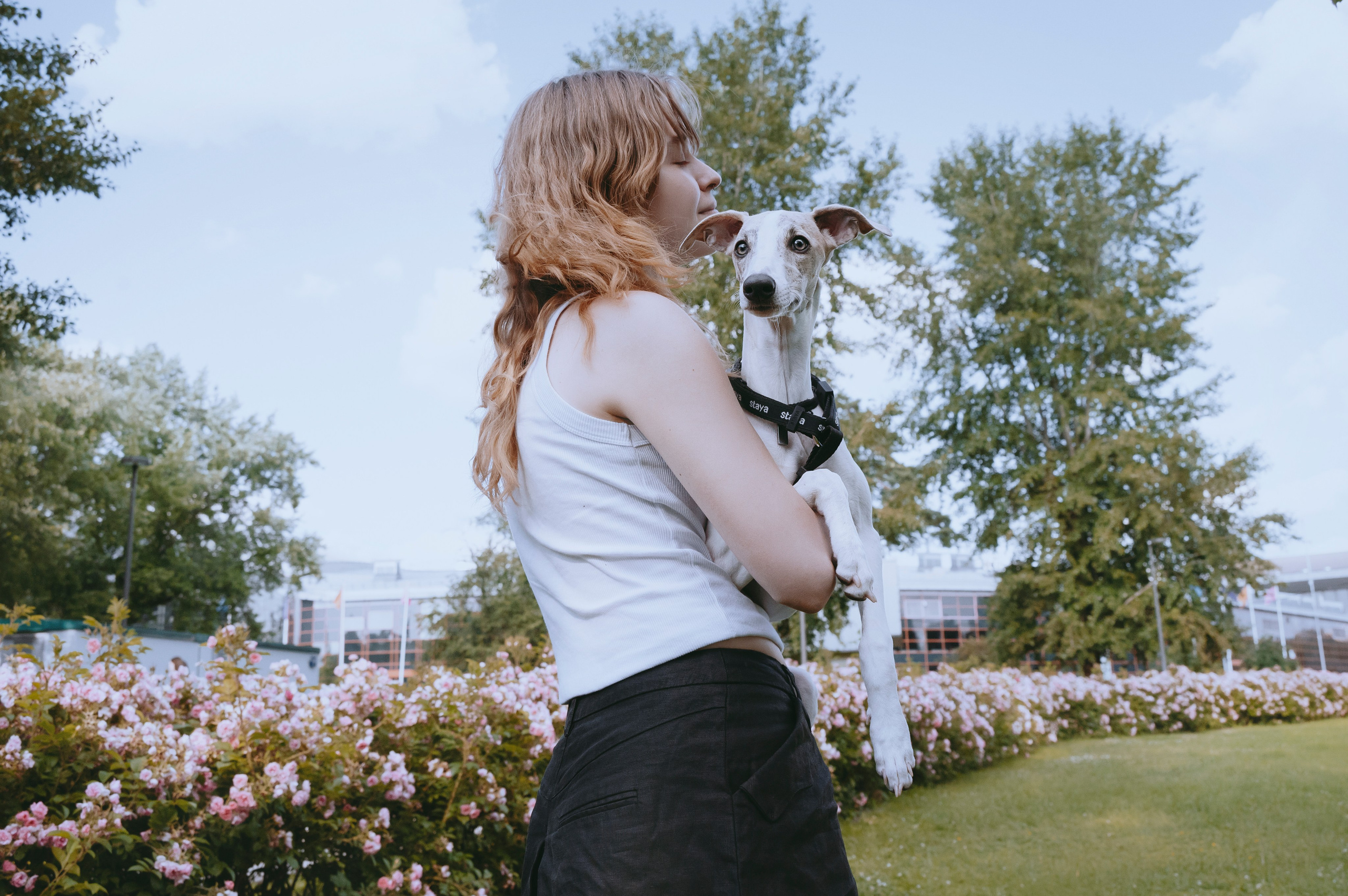 Ветка. Фотограф- анималист Александра Матвеева