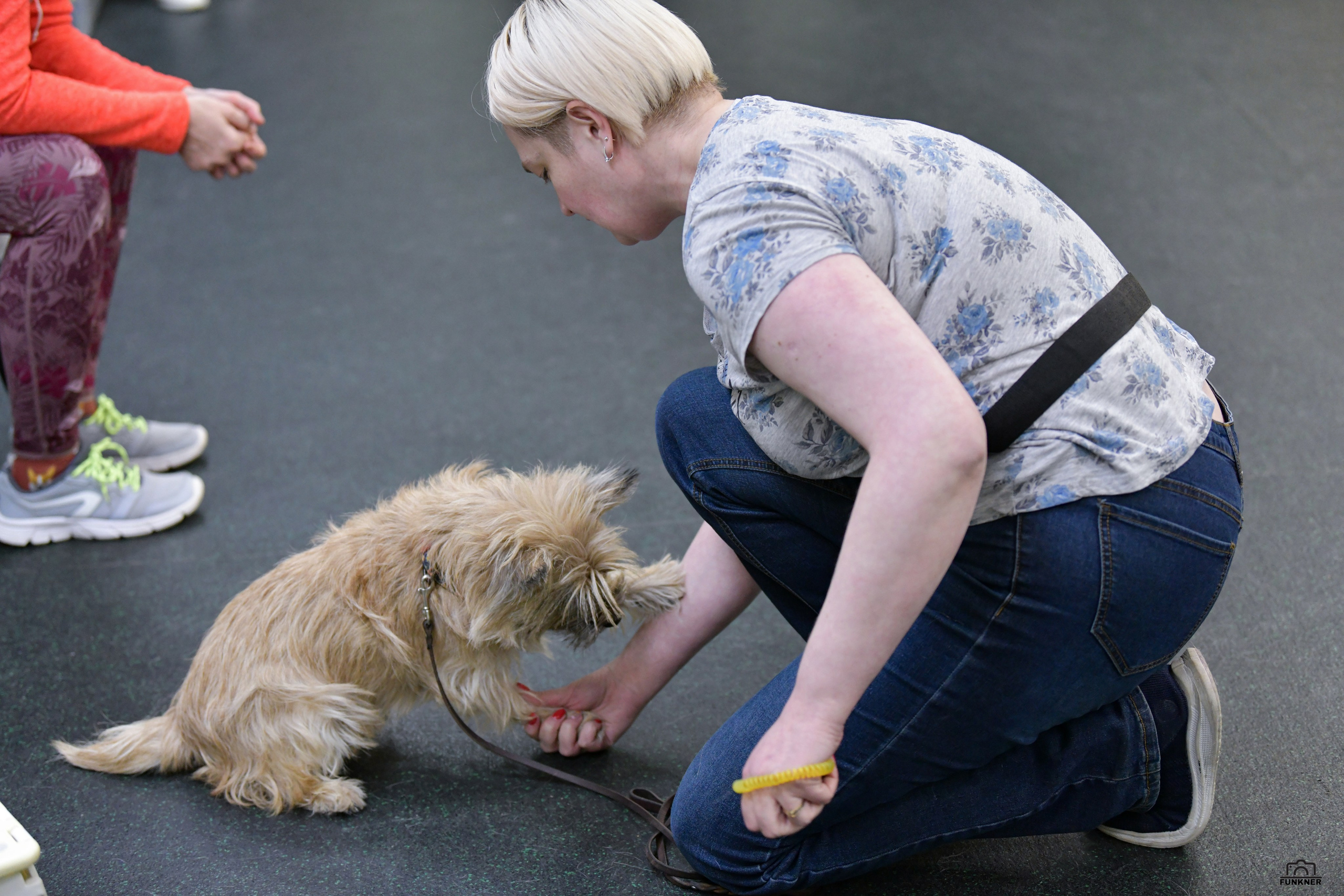 Кинологический клуб «Бодрый хвост». Свой взгляд через объектив