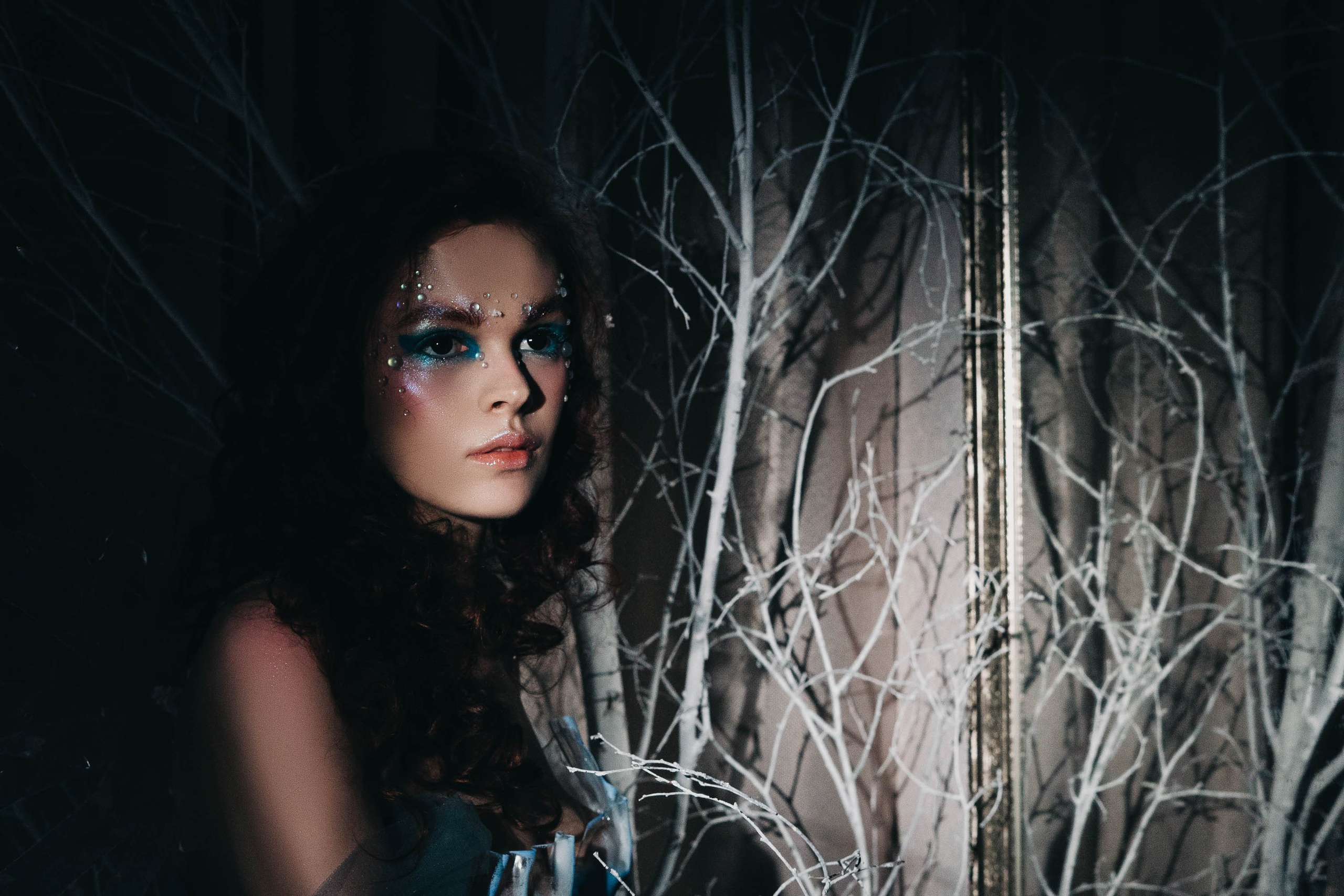 Фея зимы. Проект «Сны Синицы» — Волшебные фотосессии