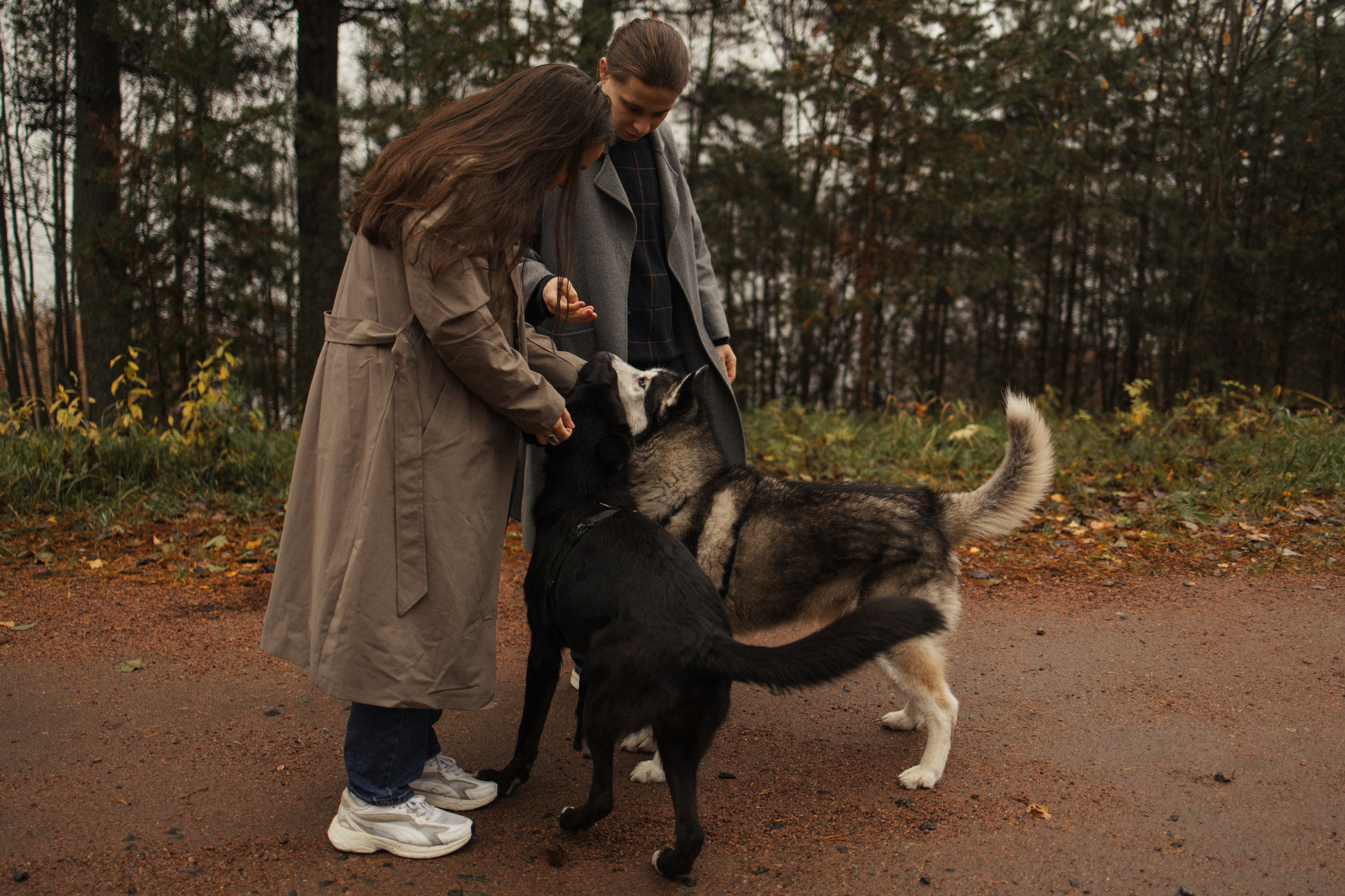 Лена, Глеб, Ральф и Рэй. Фотограф в Выборге и Санкт-Петербурге Маша Гуляева